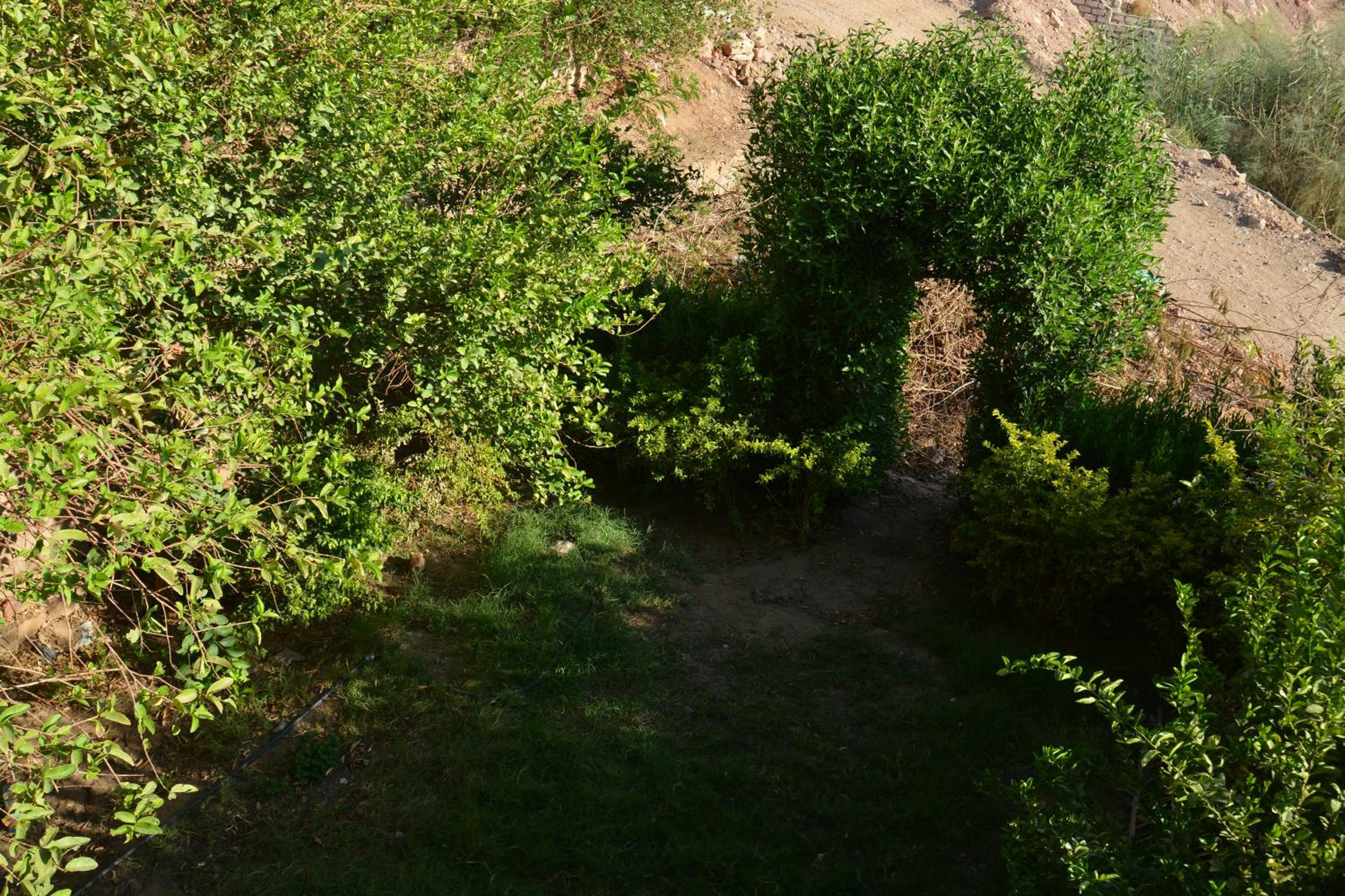 Photo 18