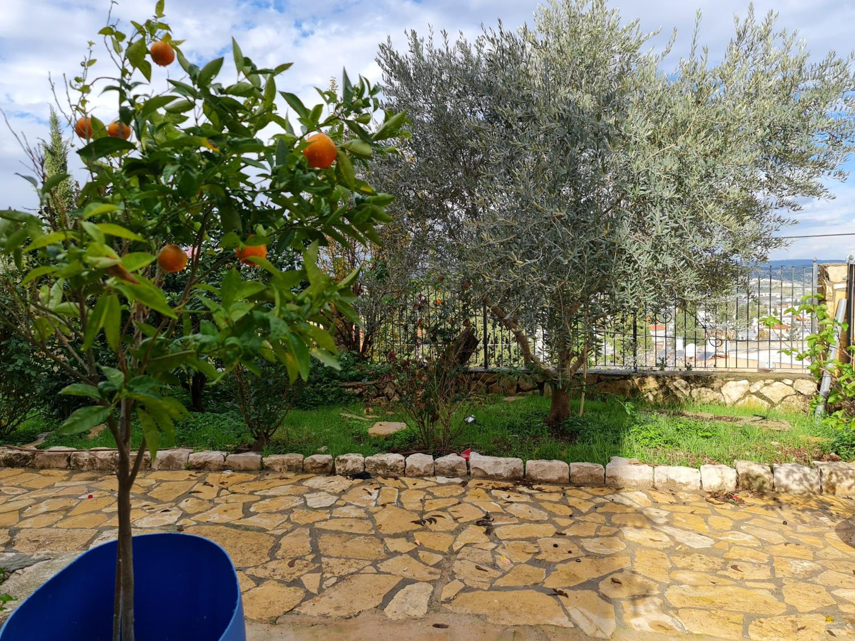 SAMA Tarshiha, photo 26