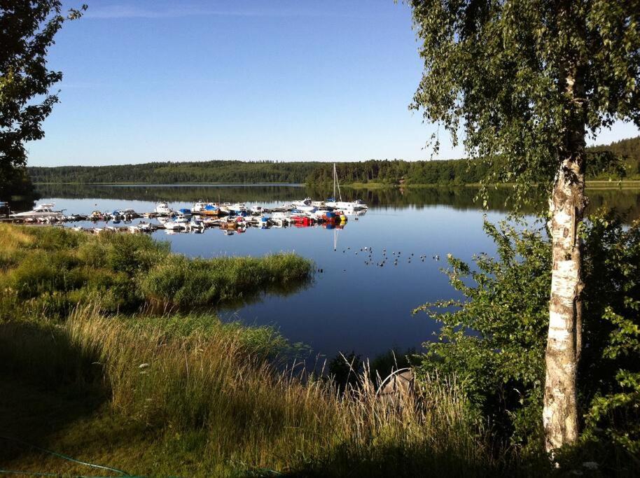 Photo 45