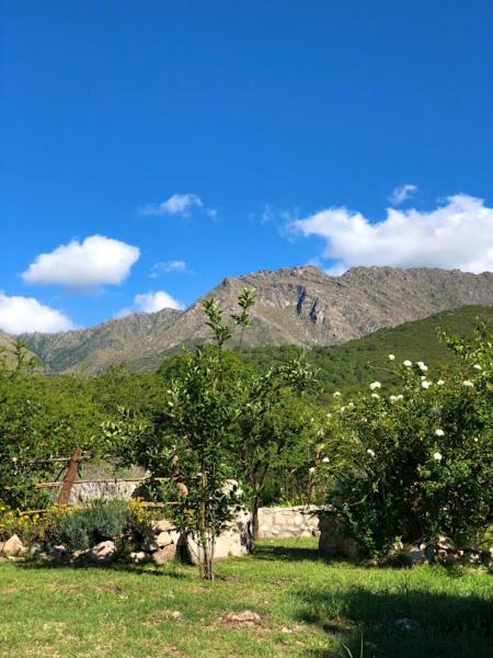 LOFT DE MONTAÑA -LaS RABONAS - PISCINA EXCLUSIVA