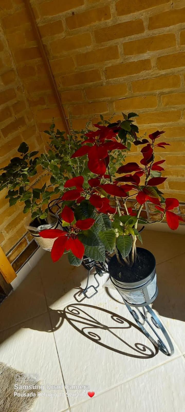 Photo 52