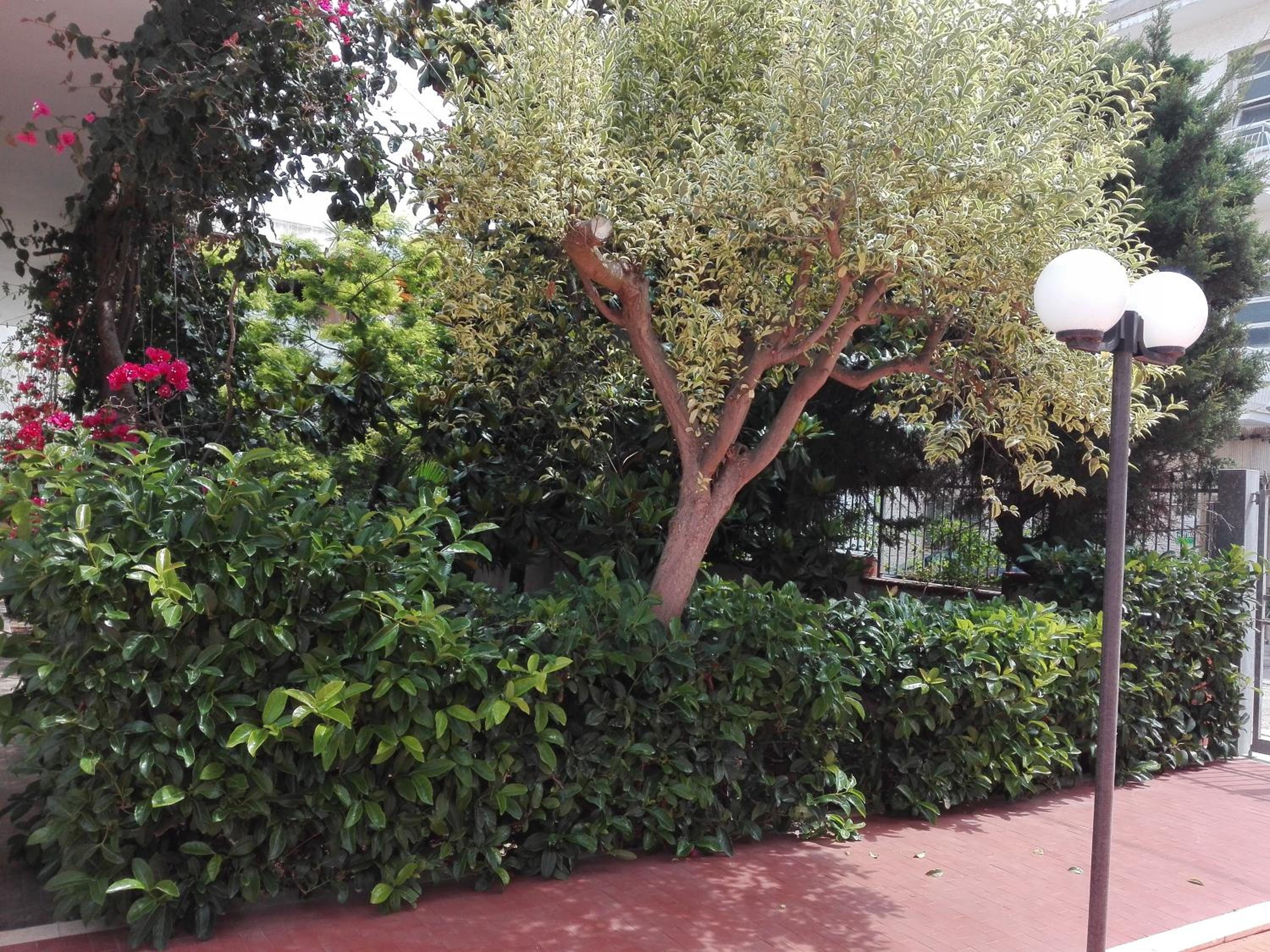 B & B La Magnolia photo 5