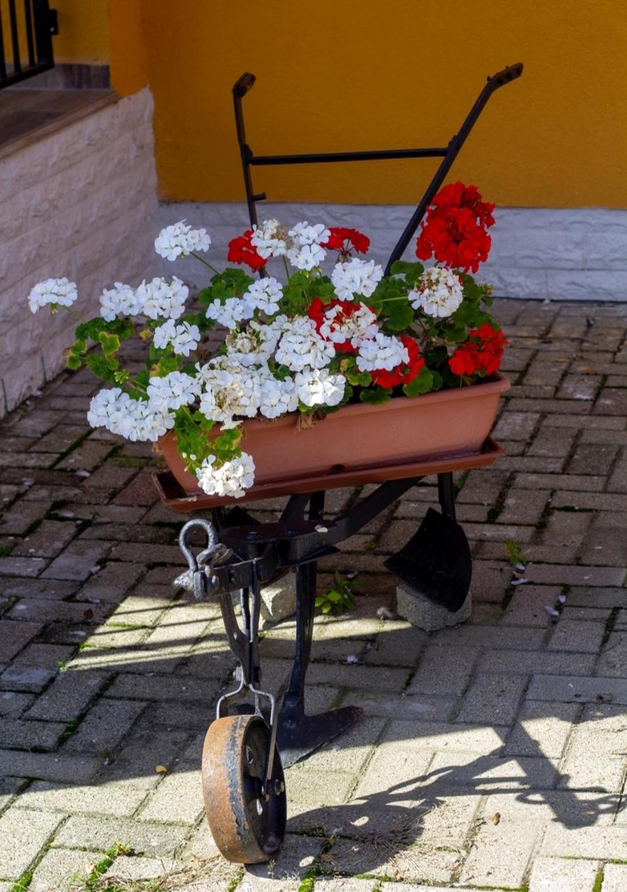 Radics Panzió Étterem és Pihenő Központ