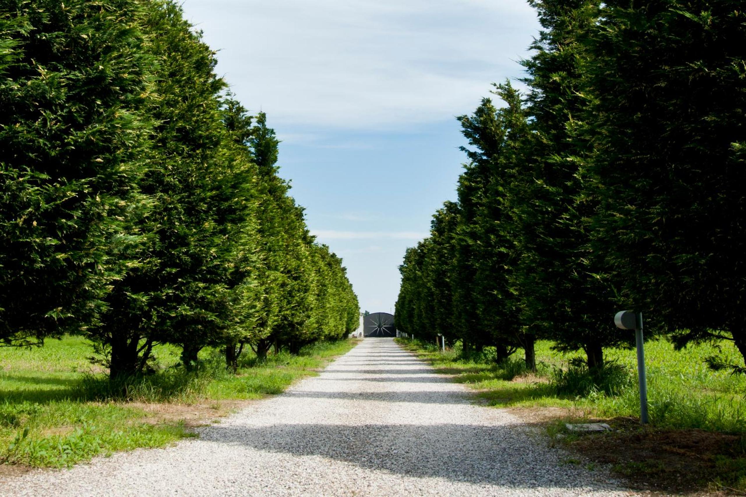 Il Giardino Di Rebecca