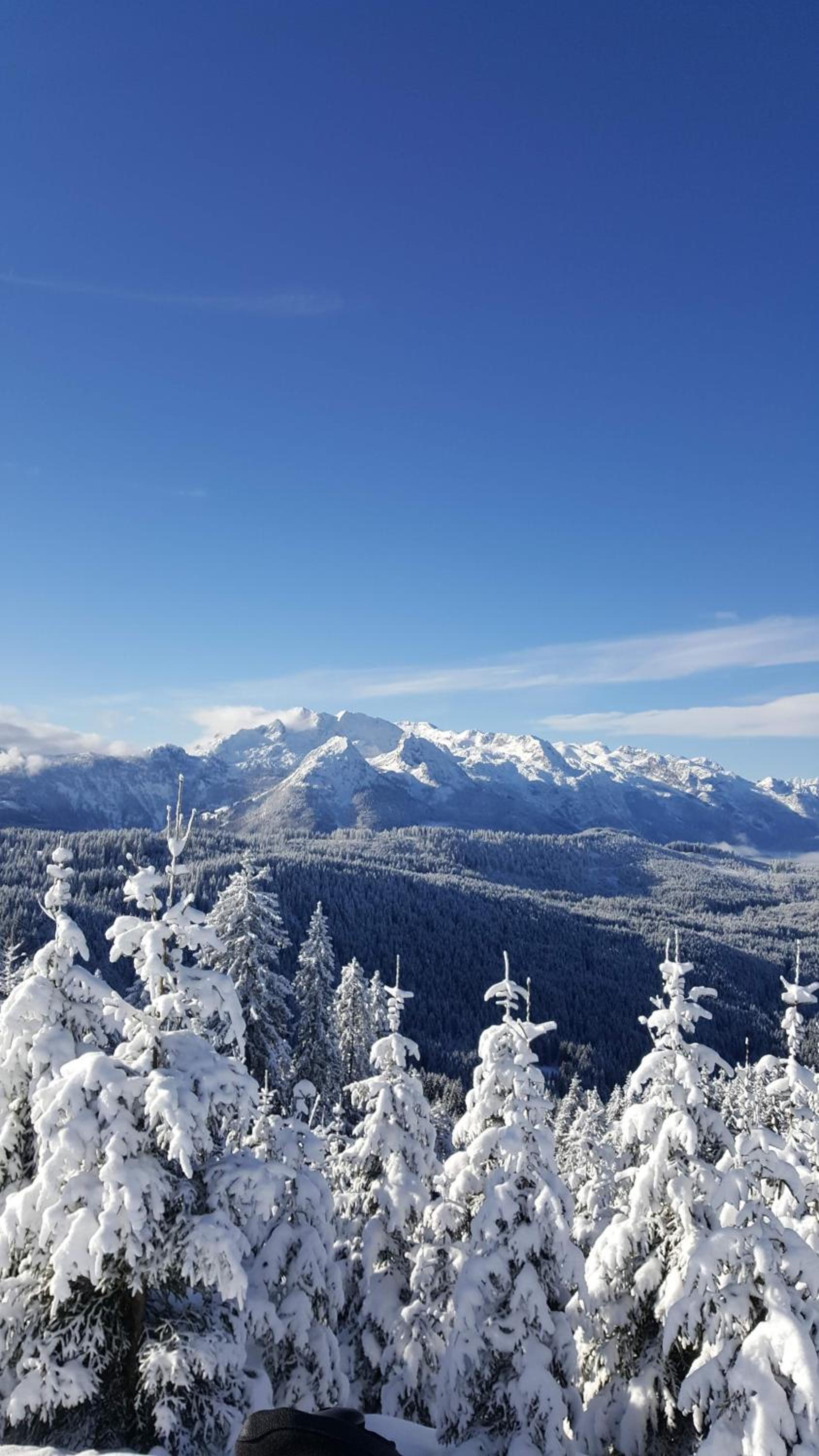 Kalvarienberg Appartement Gosau view 3