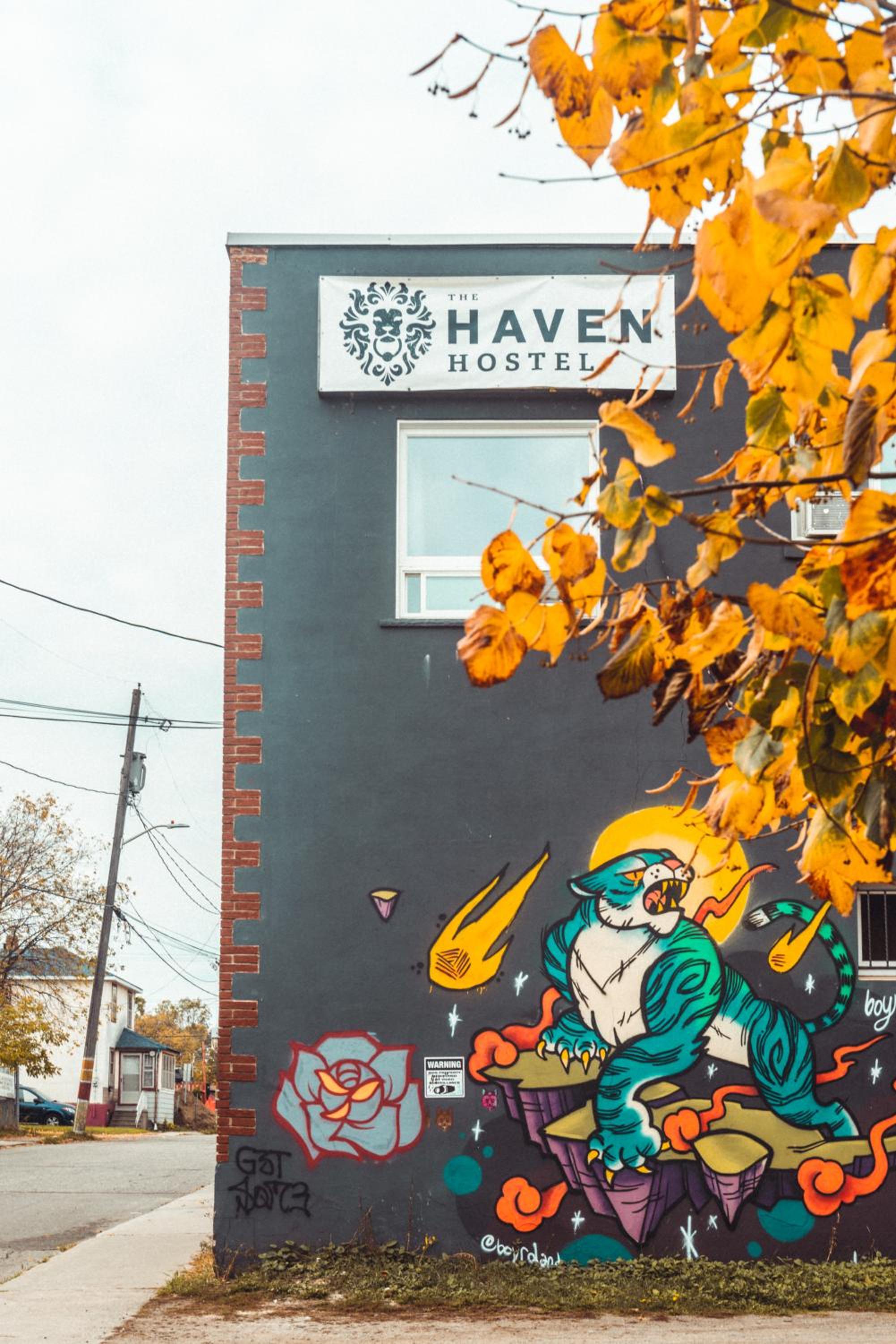 Thunder Bay Vacations - The Haven Hostel - Property Image 8