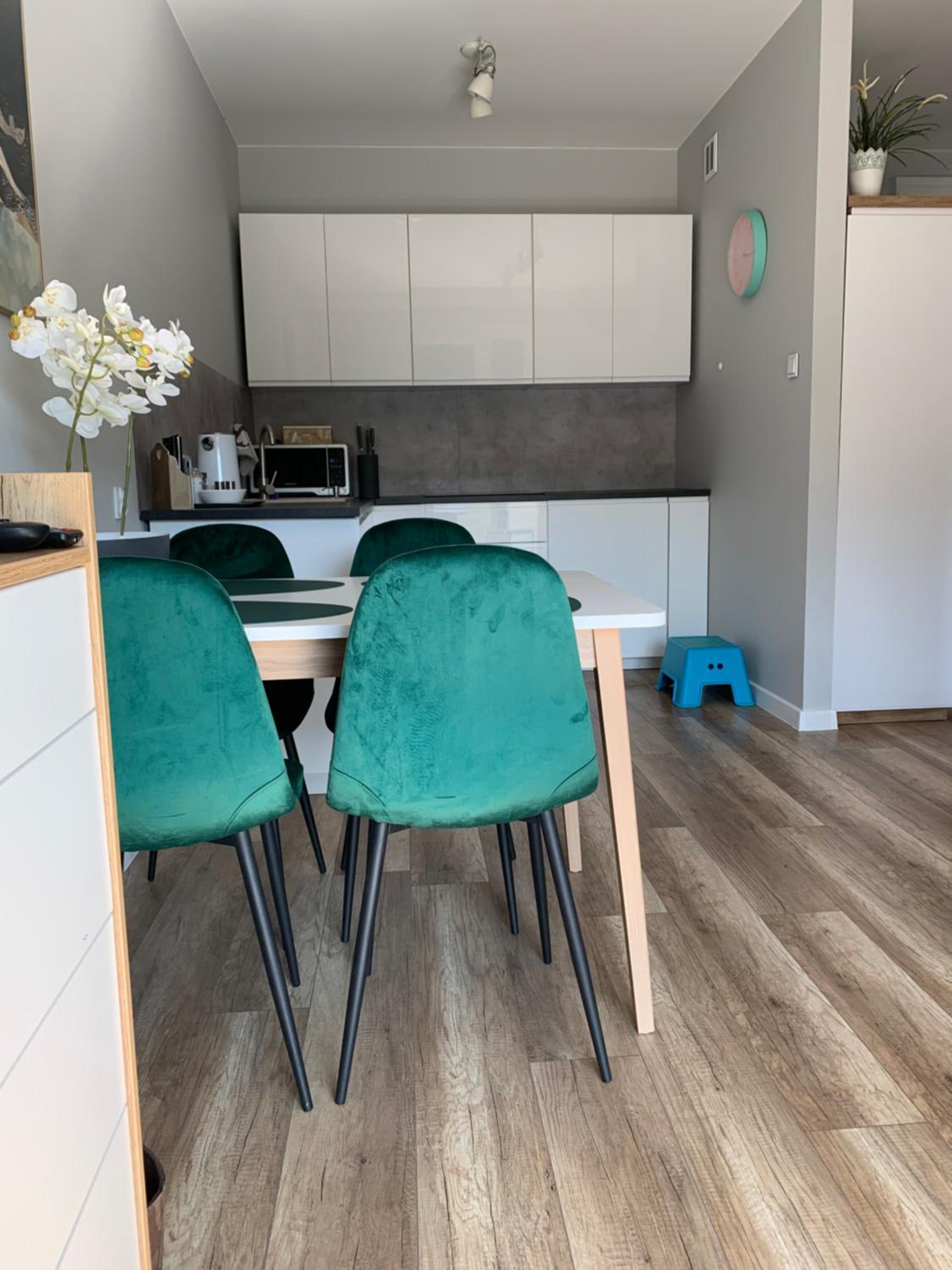 Apartament Stemar z dyżym baloknem, photo 8