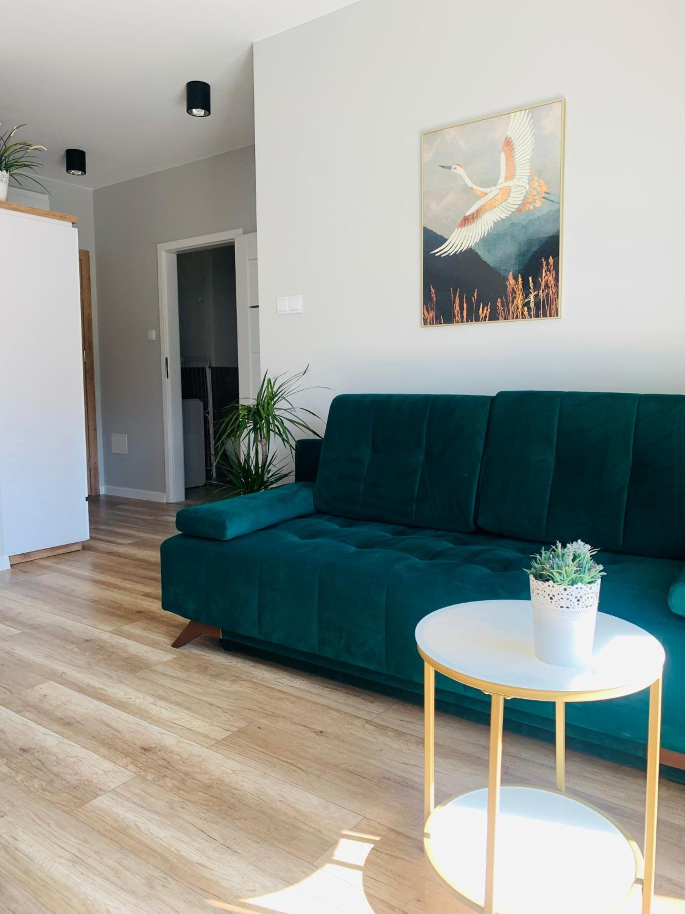 Apartament Stemar z dyżym baloknem view 3