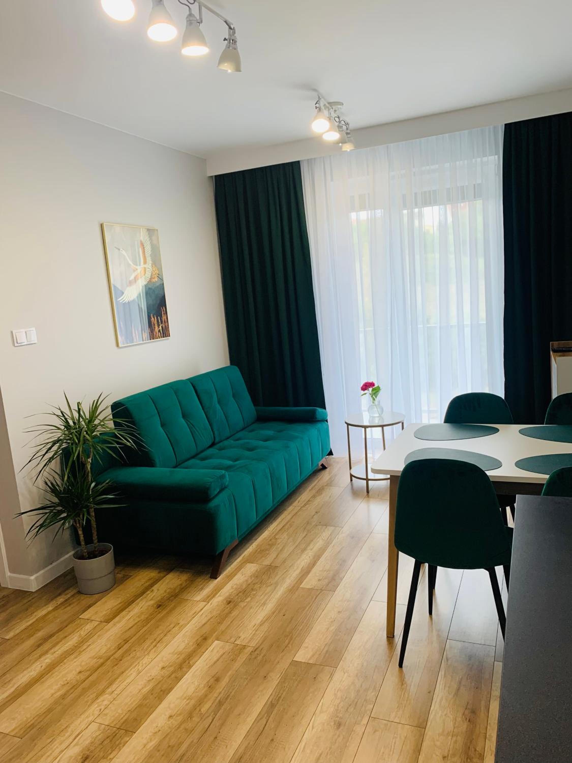 Apartament Stemar z dyżym baloknem view 4
