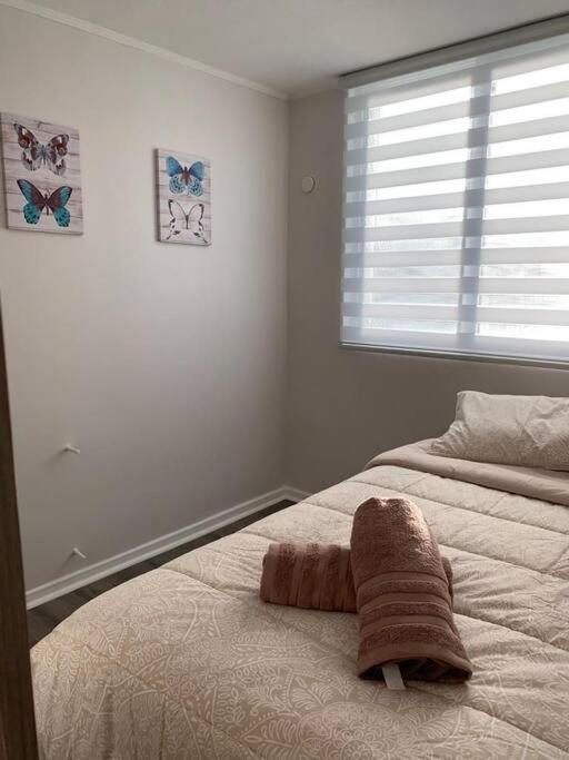 Departamento céntrico en Puerto Varas