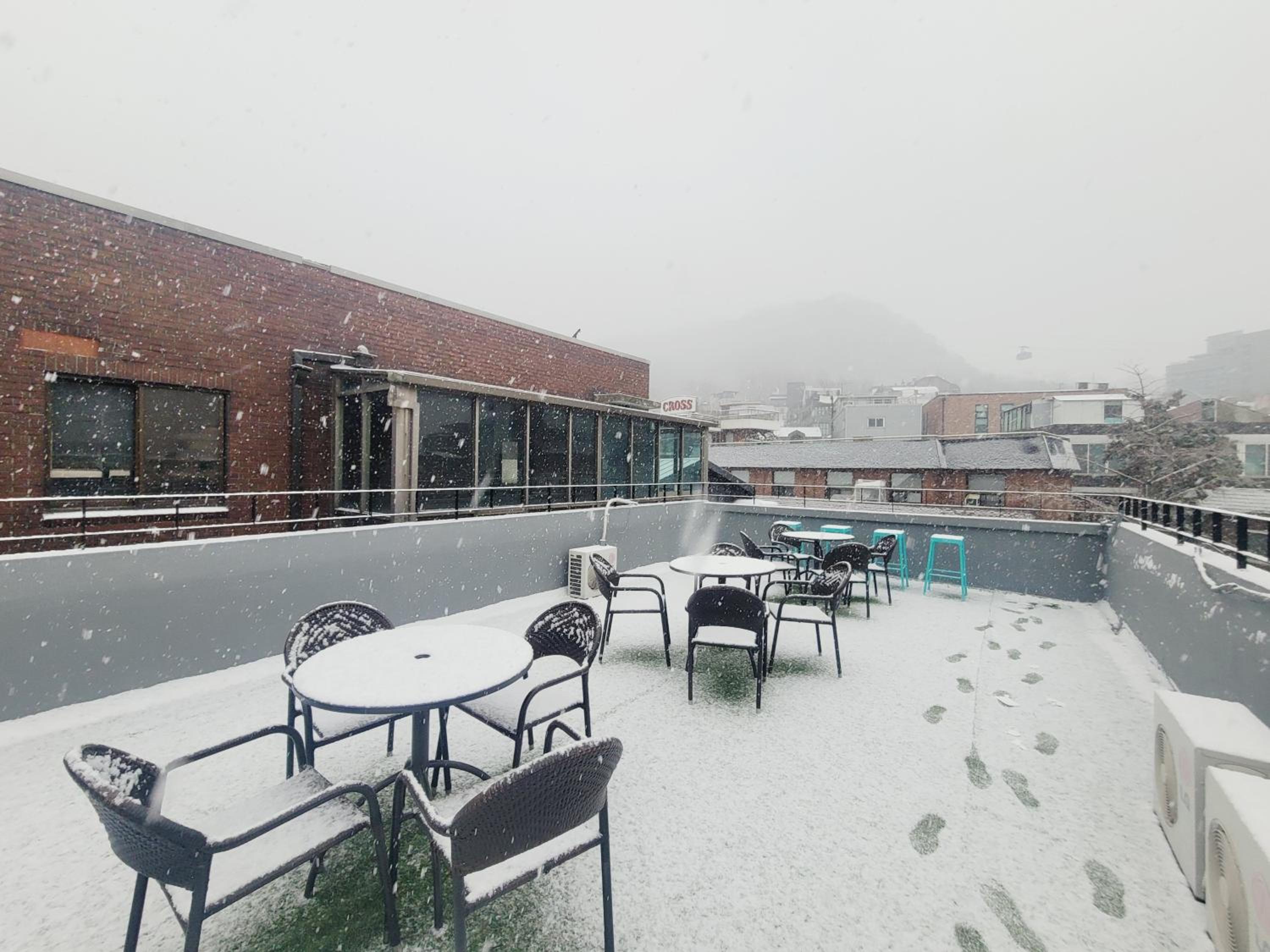 Olive Hostel MyeongDong