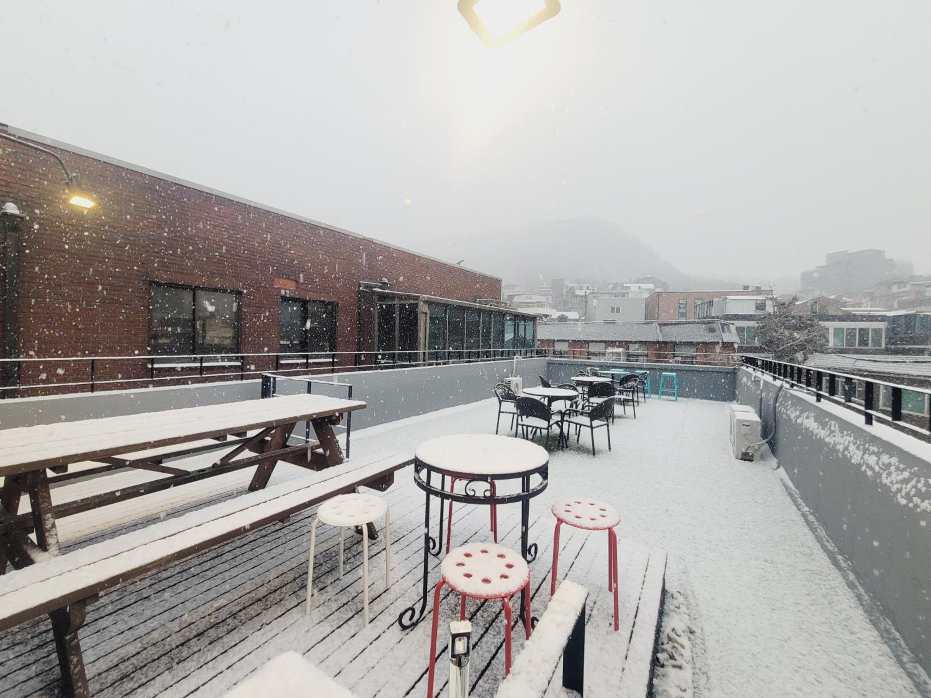 Olive Hostel MyeongDong