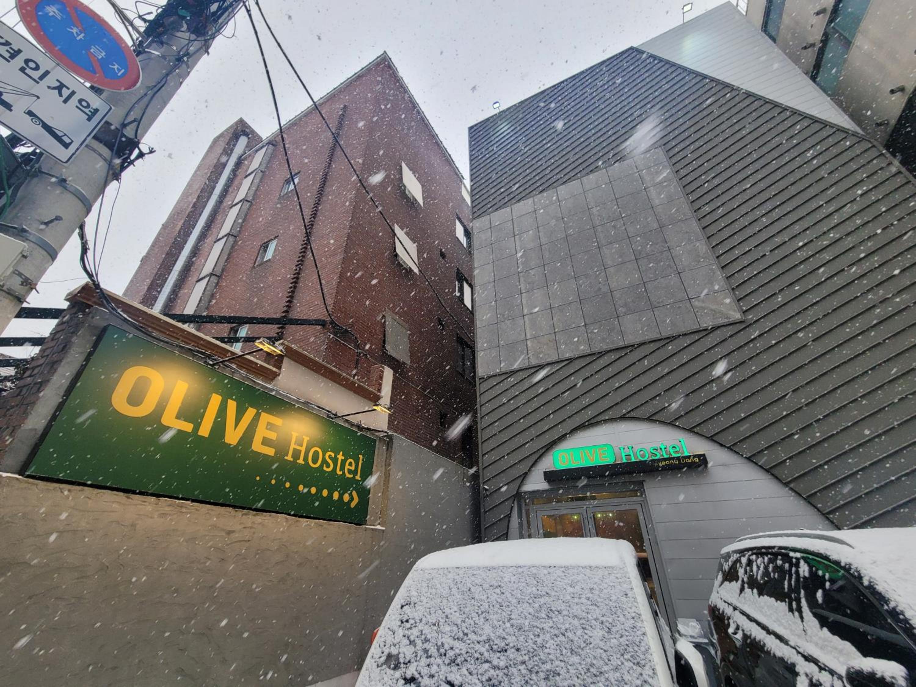 Olive Hostel MyeongDong