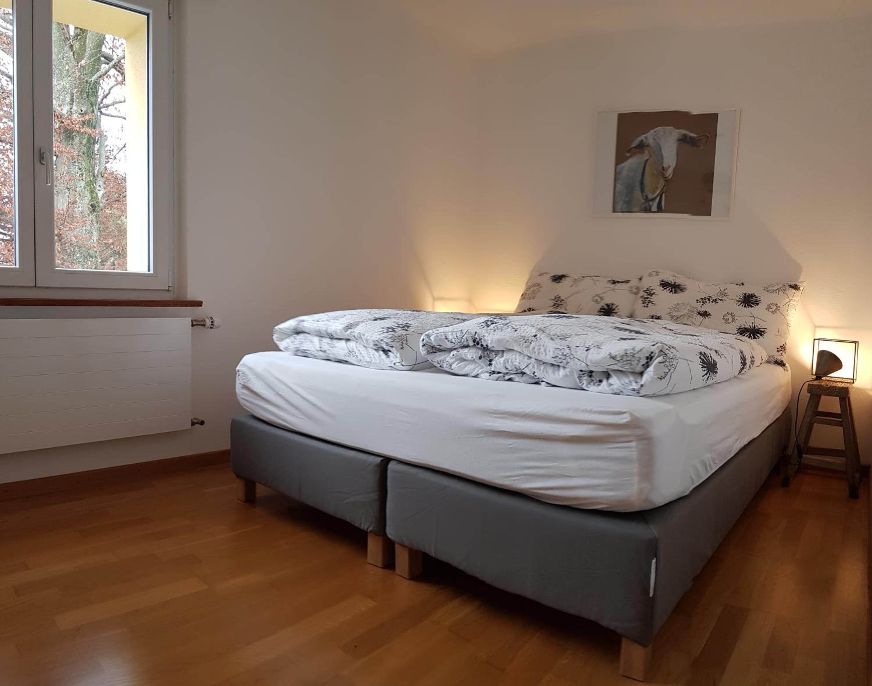 Interlaken City Apartments