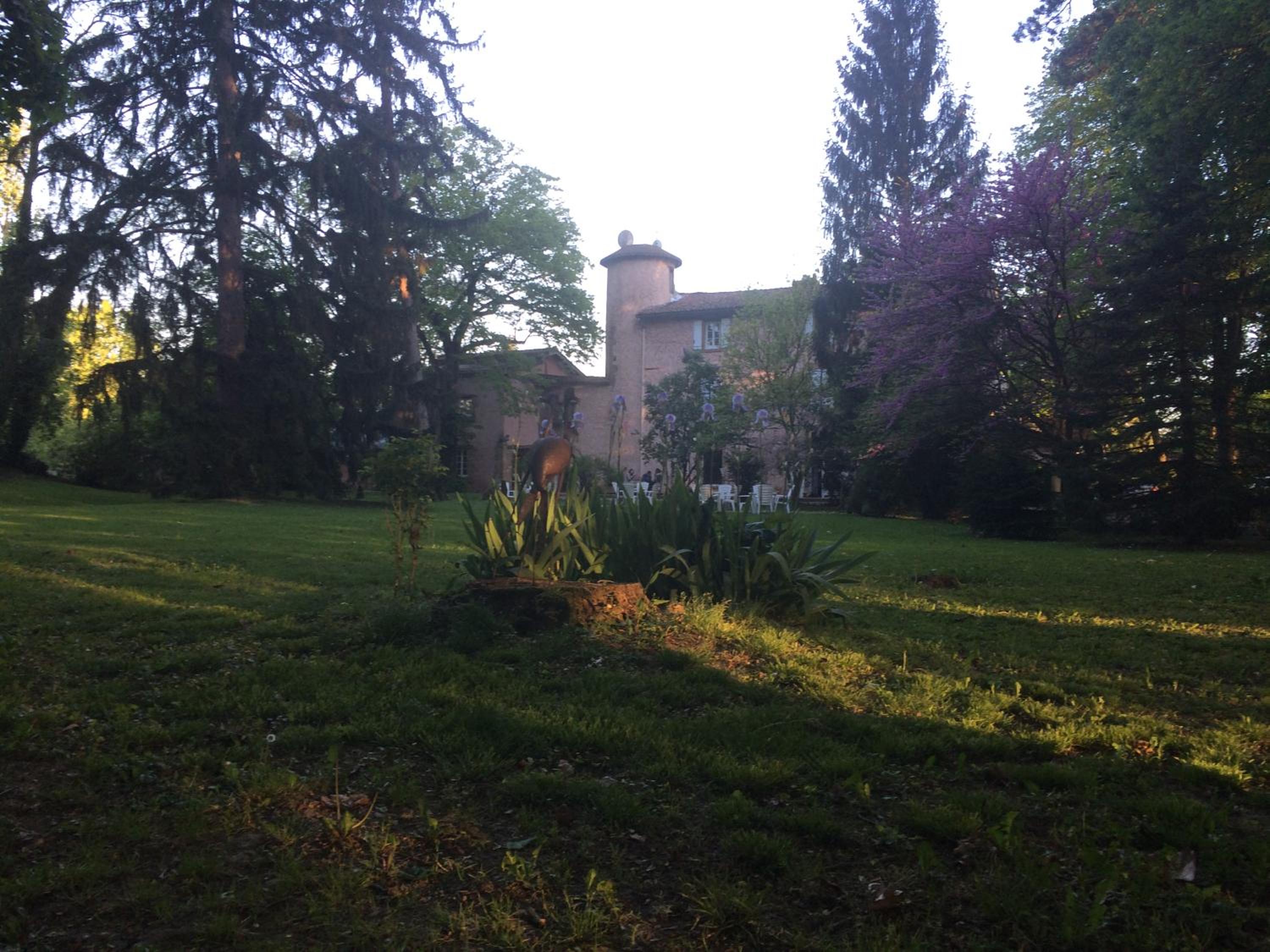 garden