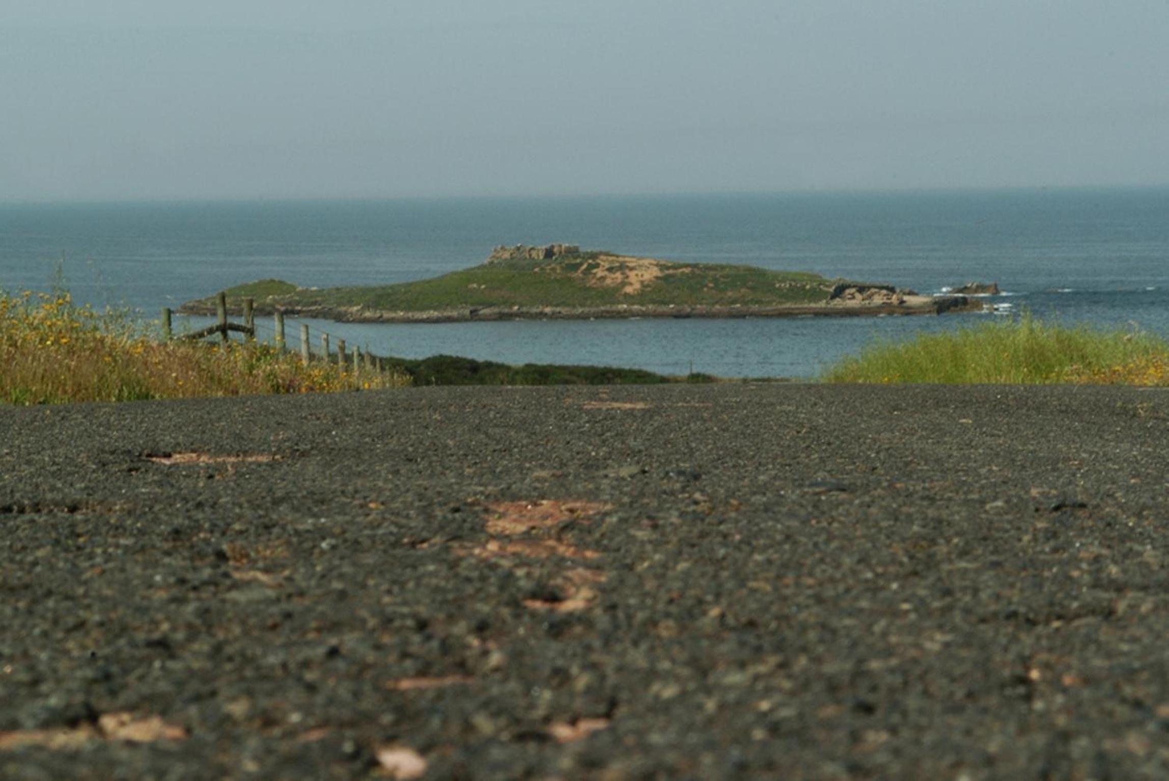 Parque de Campismo da Ilha do Pessegueiro
