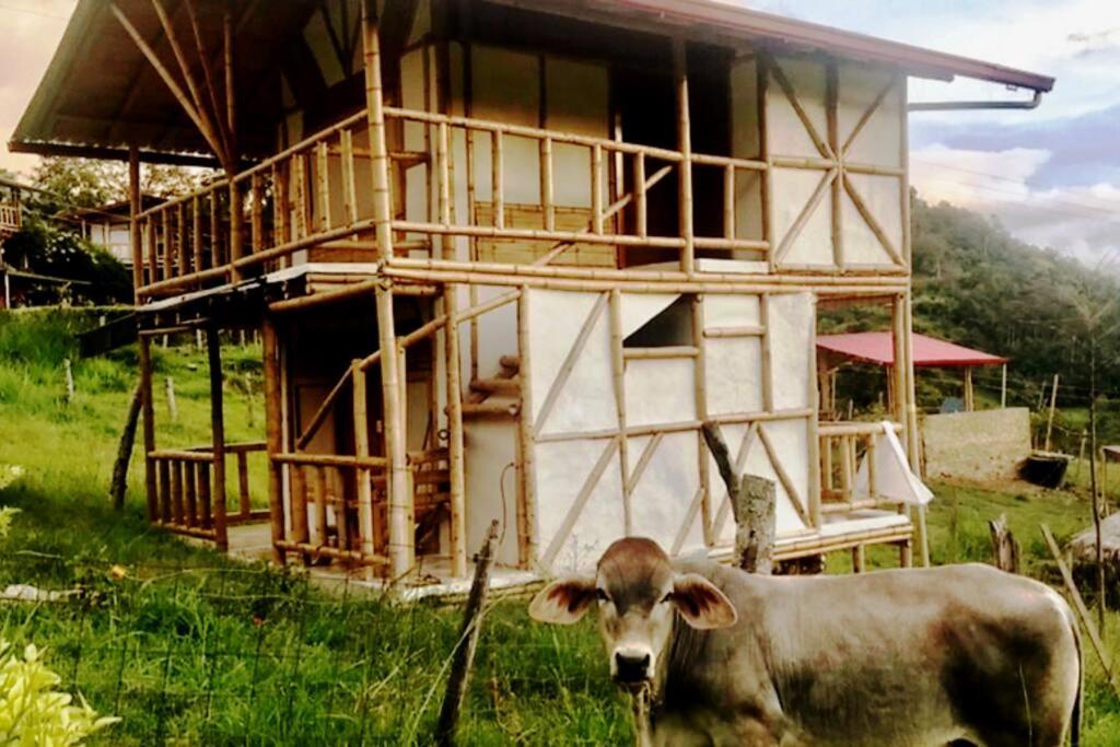 Cabaña independiente en Granja Agroecologica