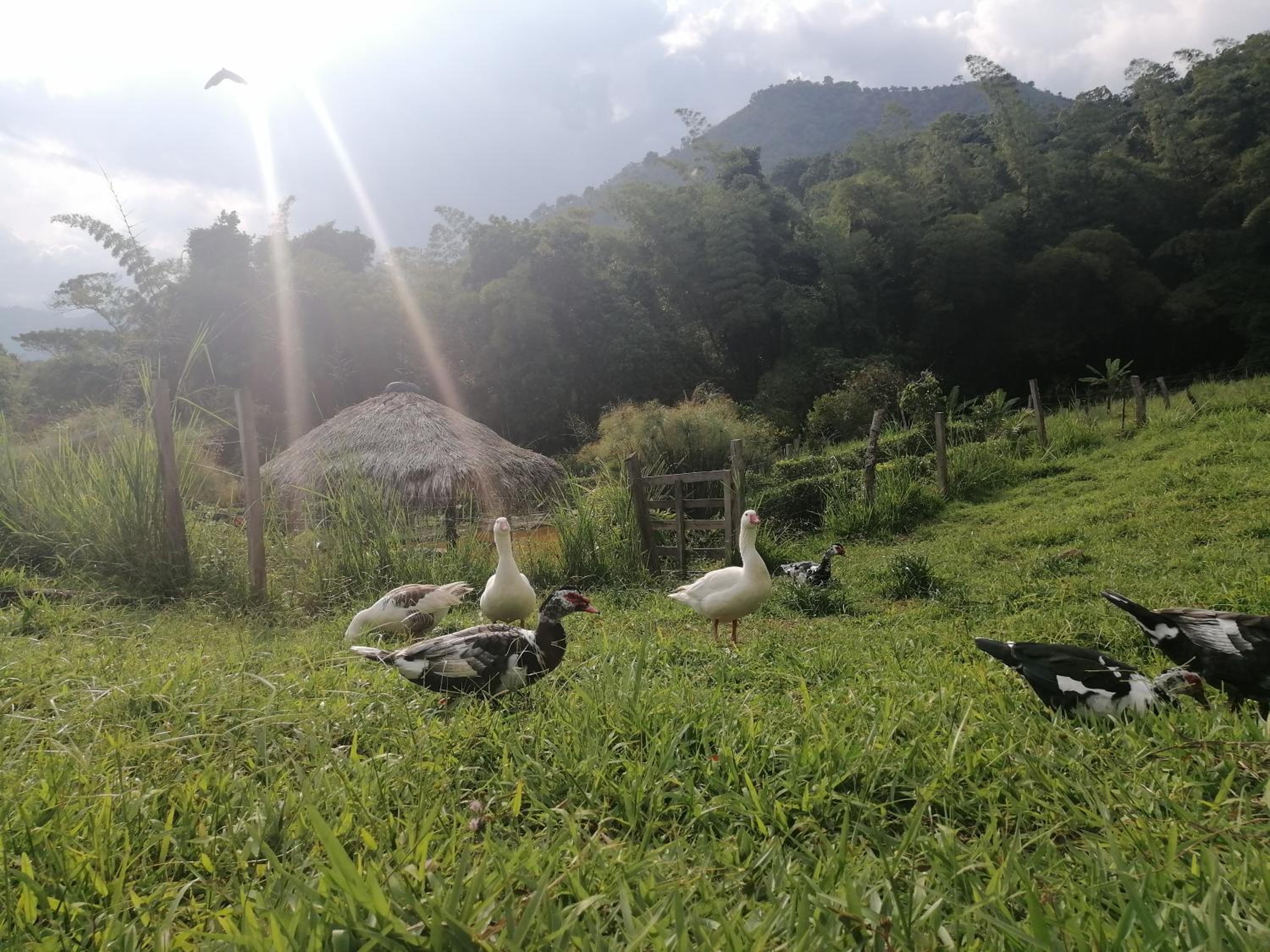 Cabaña independiente en Granja Agroecologica