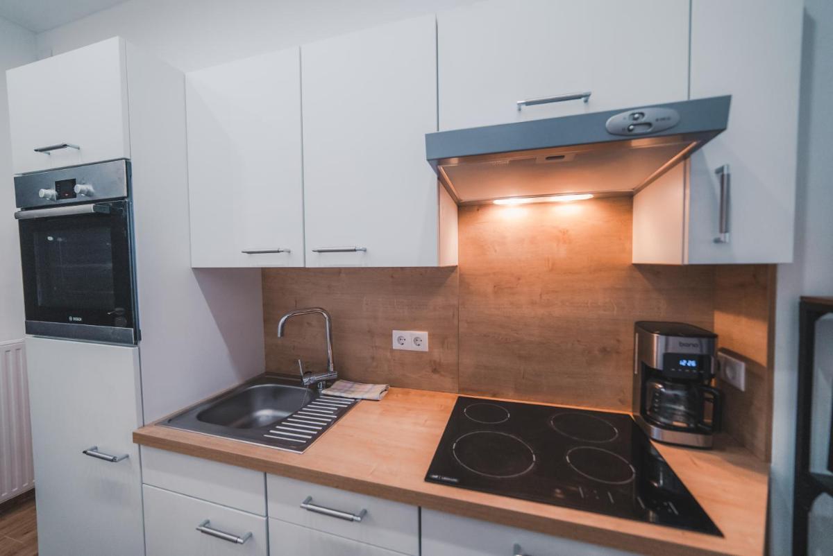 Renovated Apartment close to first district