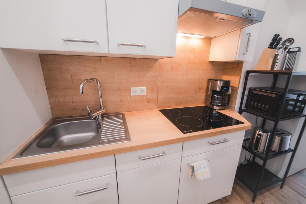Renovated Apartment close to first district