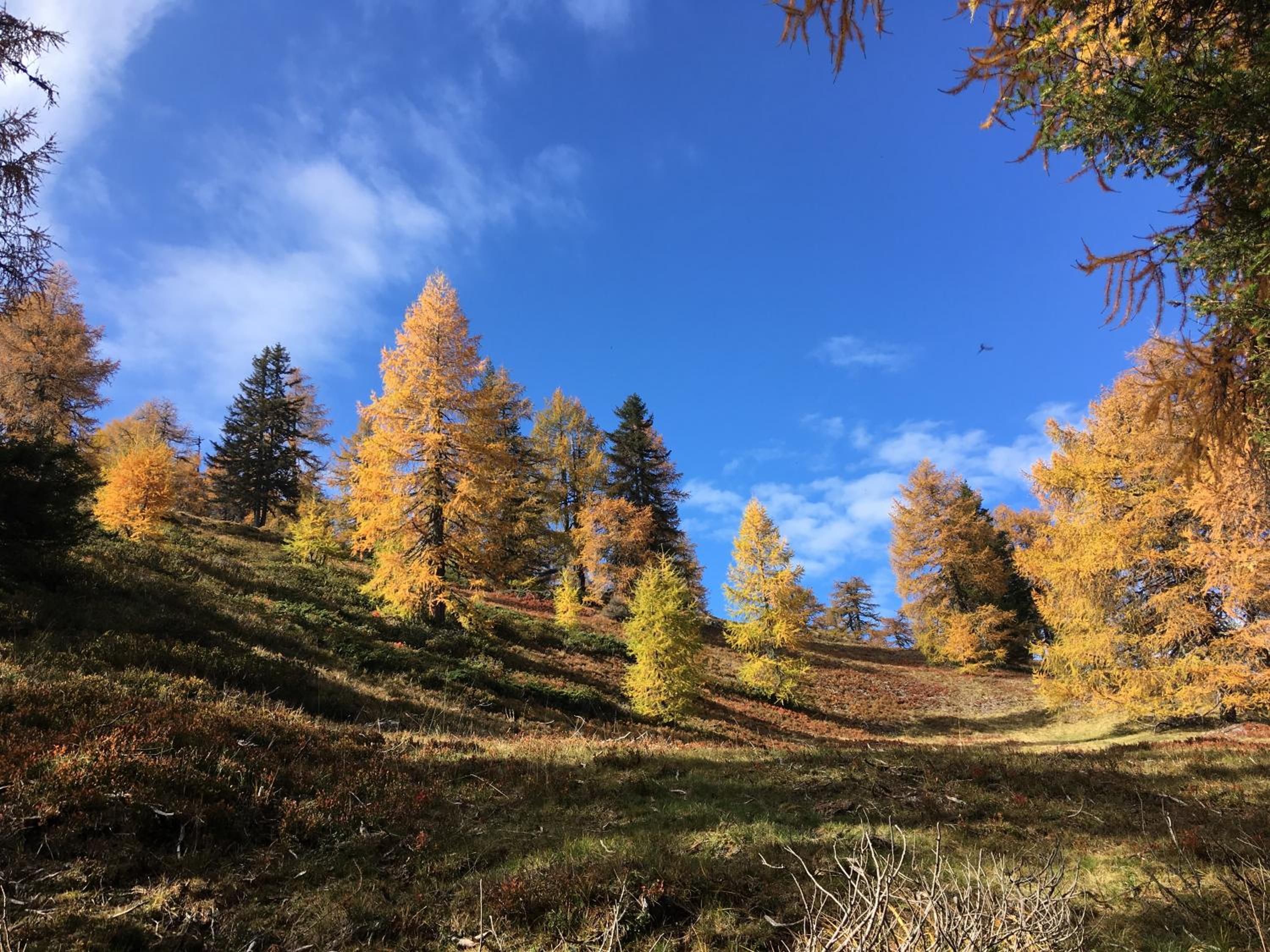 Gasthof Post