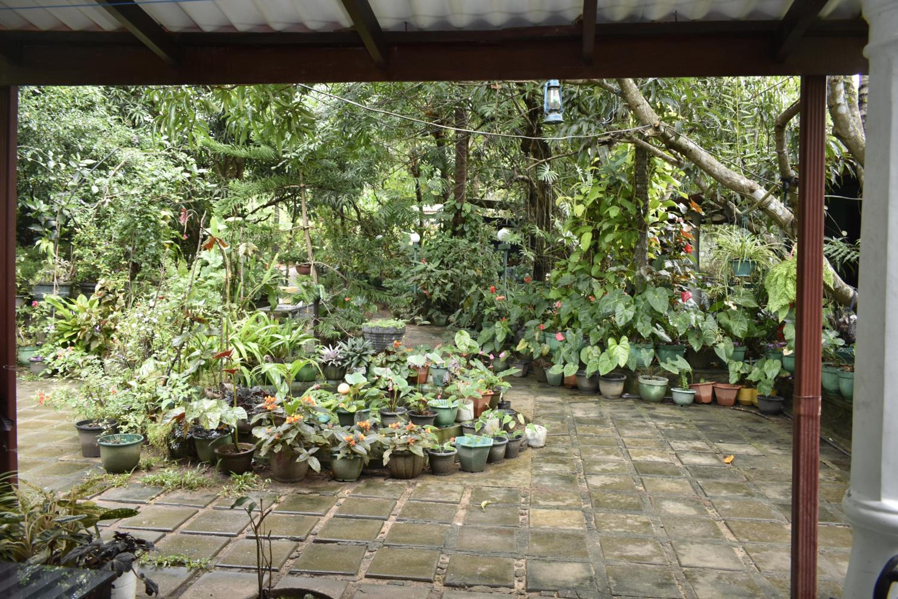 Sigiri Rock Side Home Stay