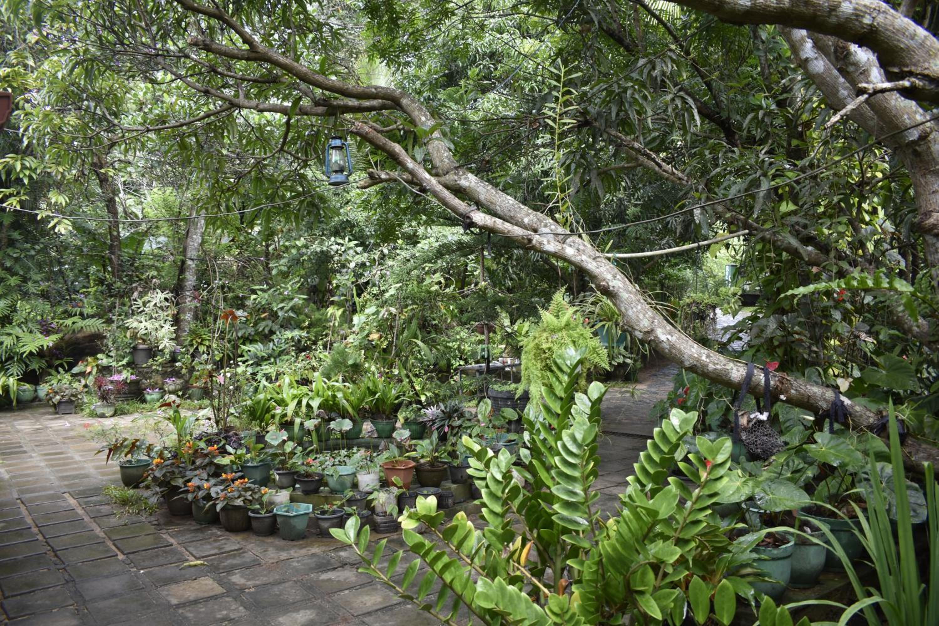 Sigiri Rock Side Home Stay