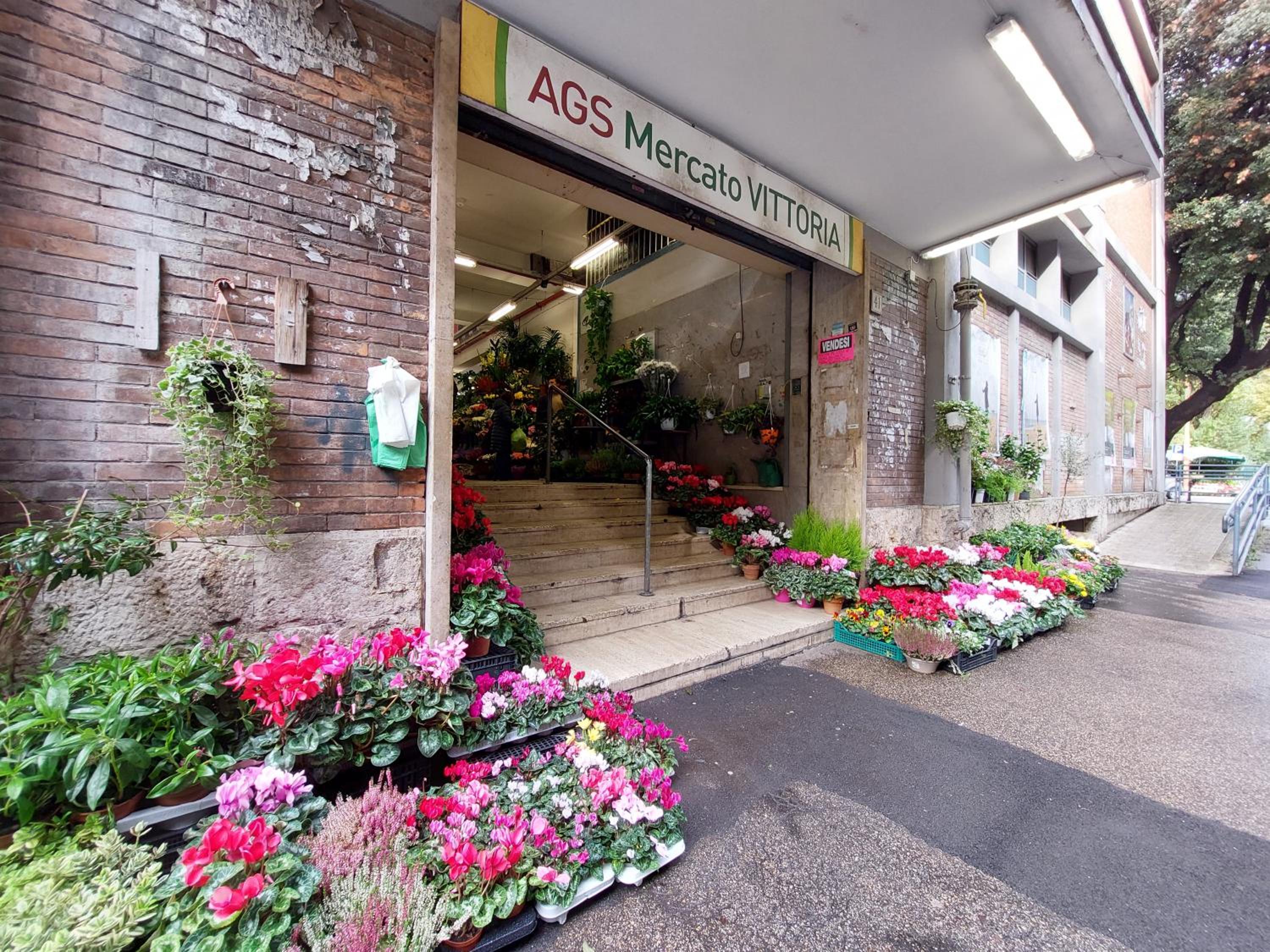 Montesanto apartment – near the Vatican