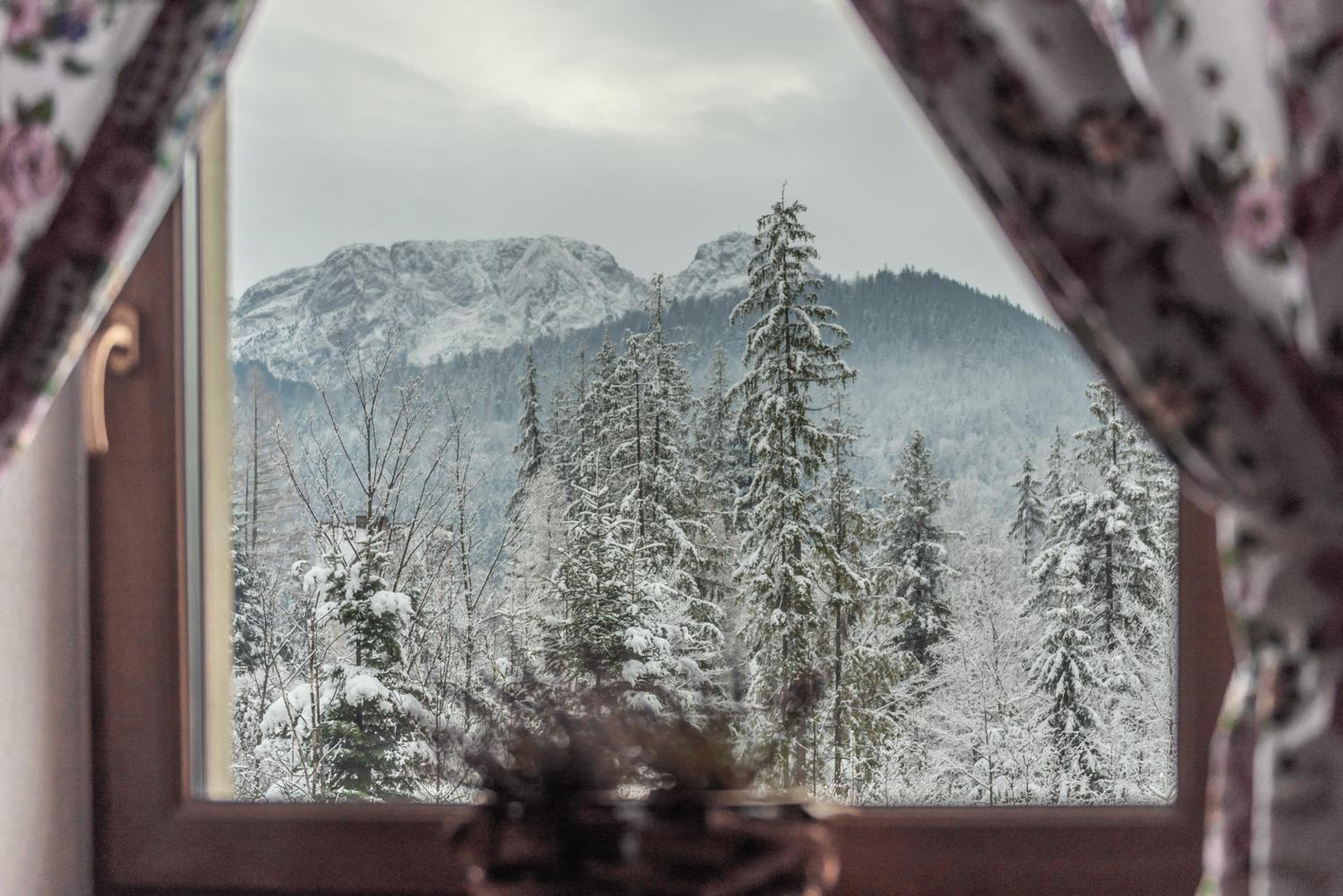Apartamenty VILLA SKI-BÓWKI view 5