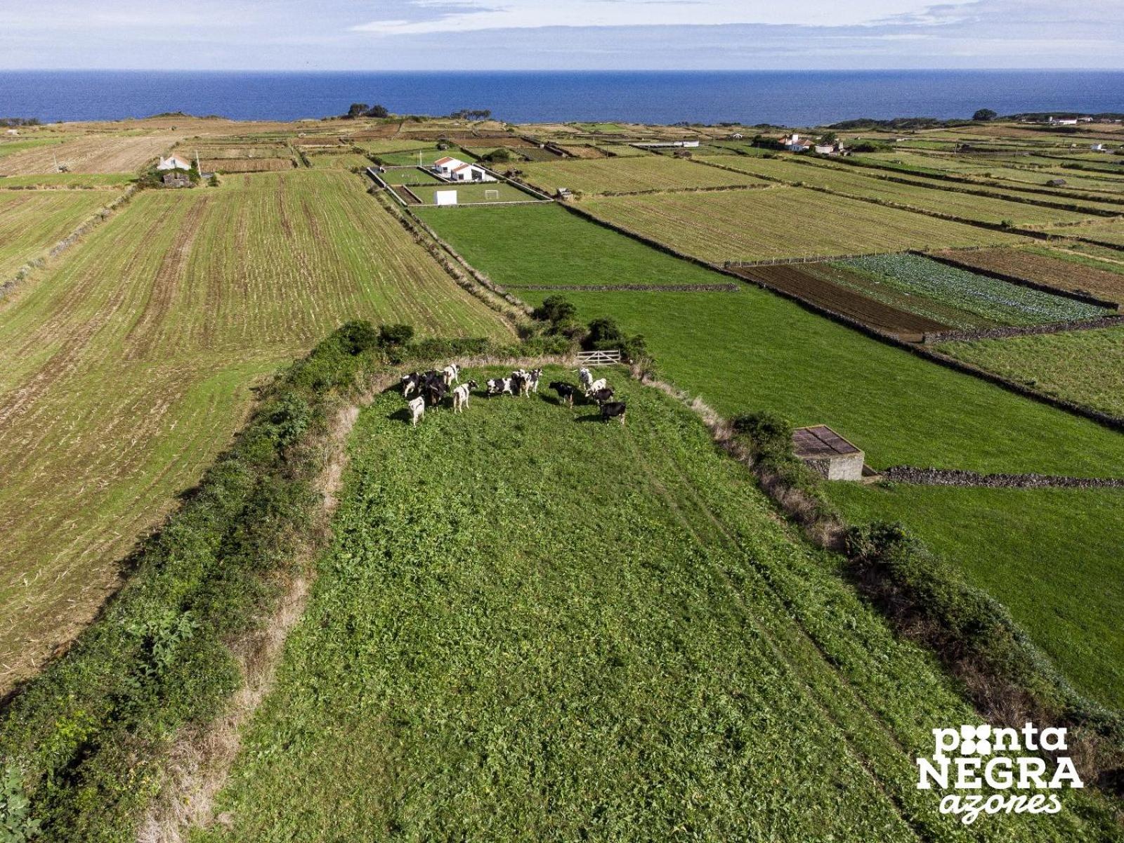 Wine House by Ponta Negra Azores