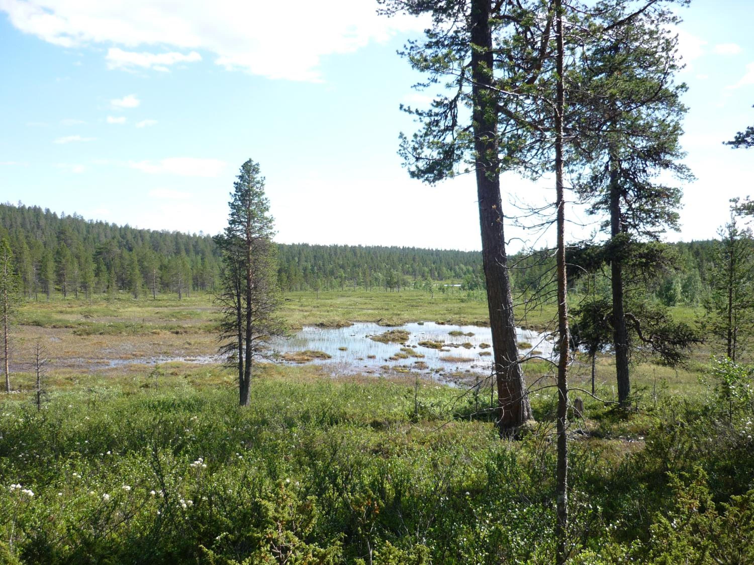 Lemmenjoen Lumo - Nature Experience & Accommodation