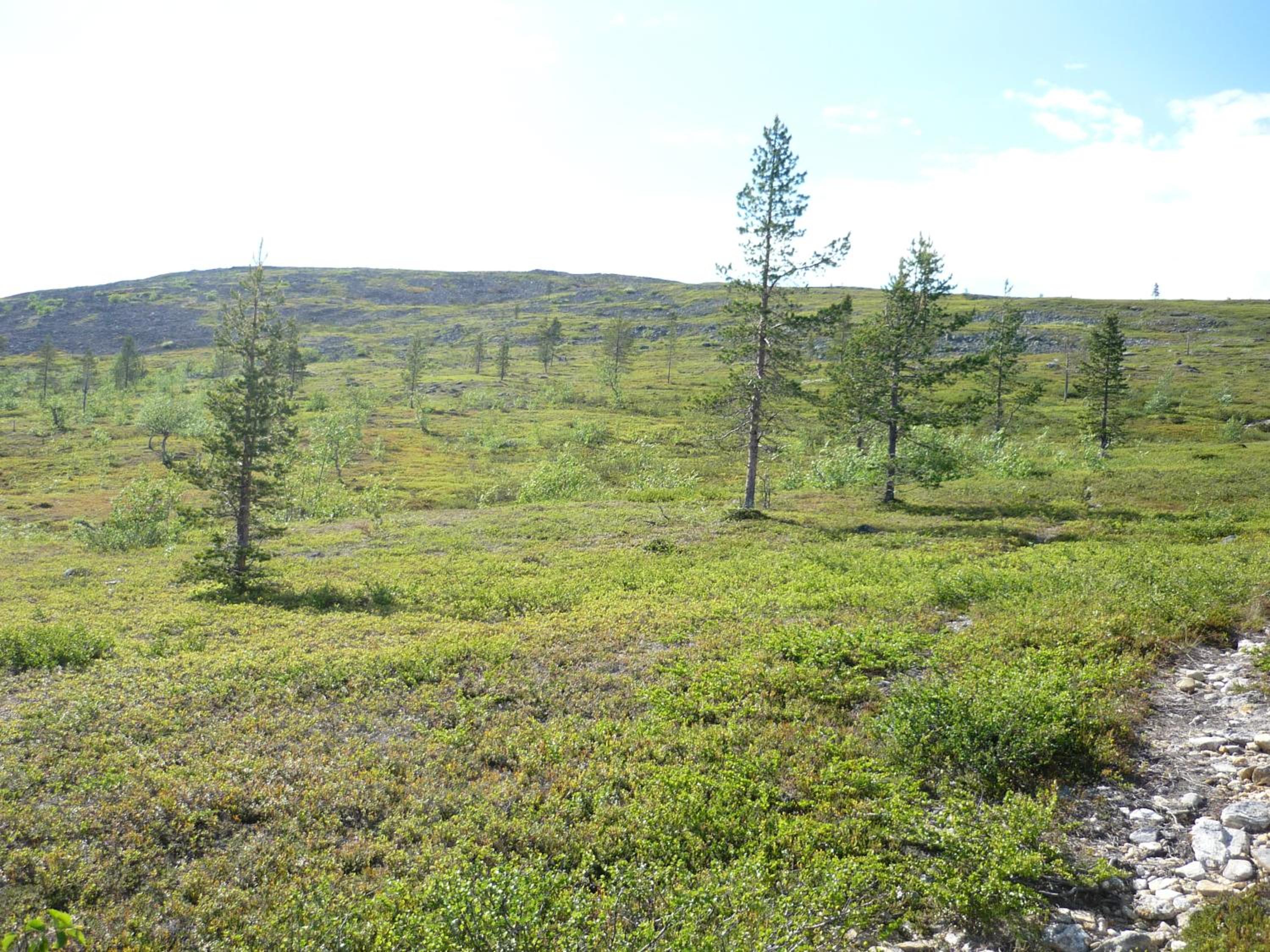 Lemmenjoen Lumo - Nature Experience & Accommodation