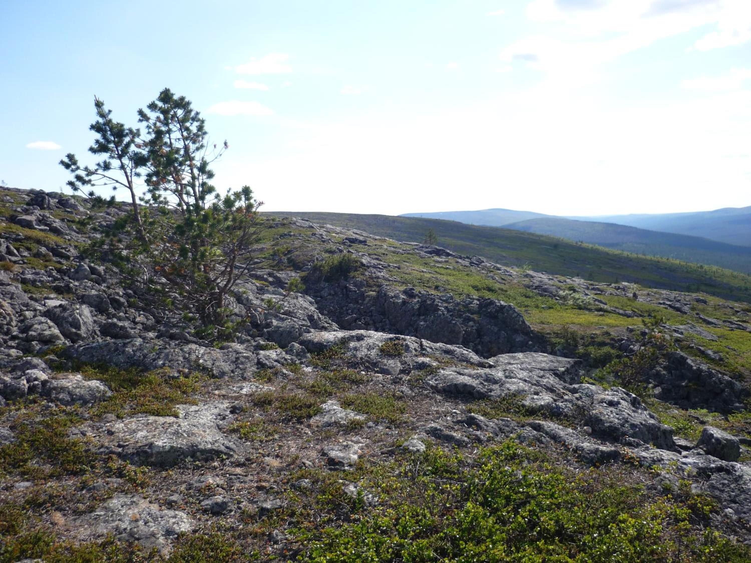 Lemmenjoen Lumo - Nature Experience & Accommodation