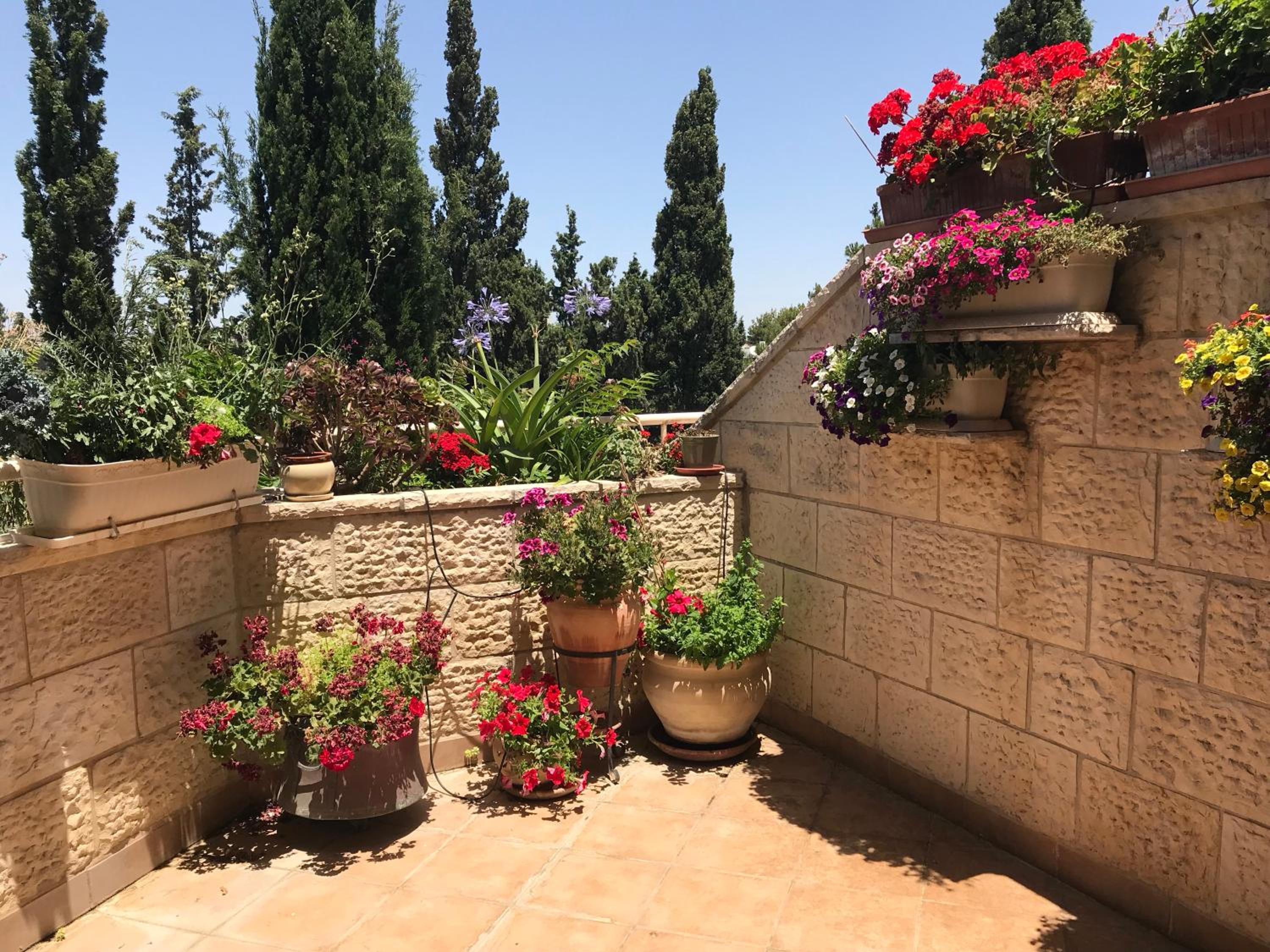 Dorraine's Jerusalem Bed & Breakfast view 3