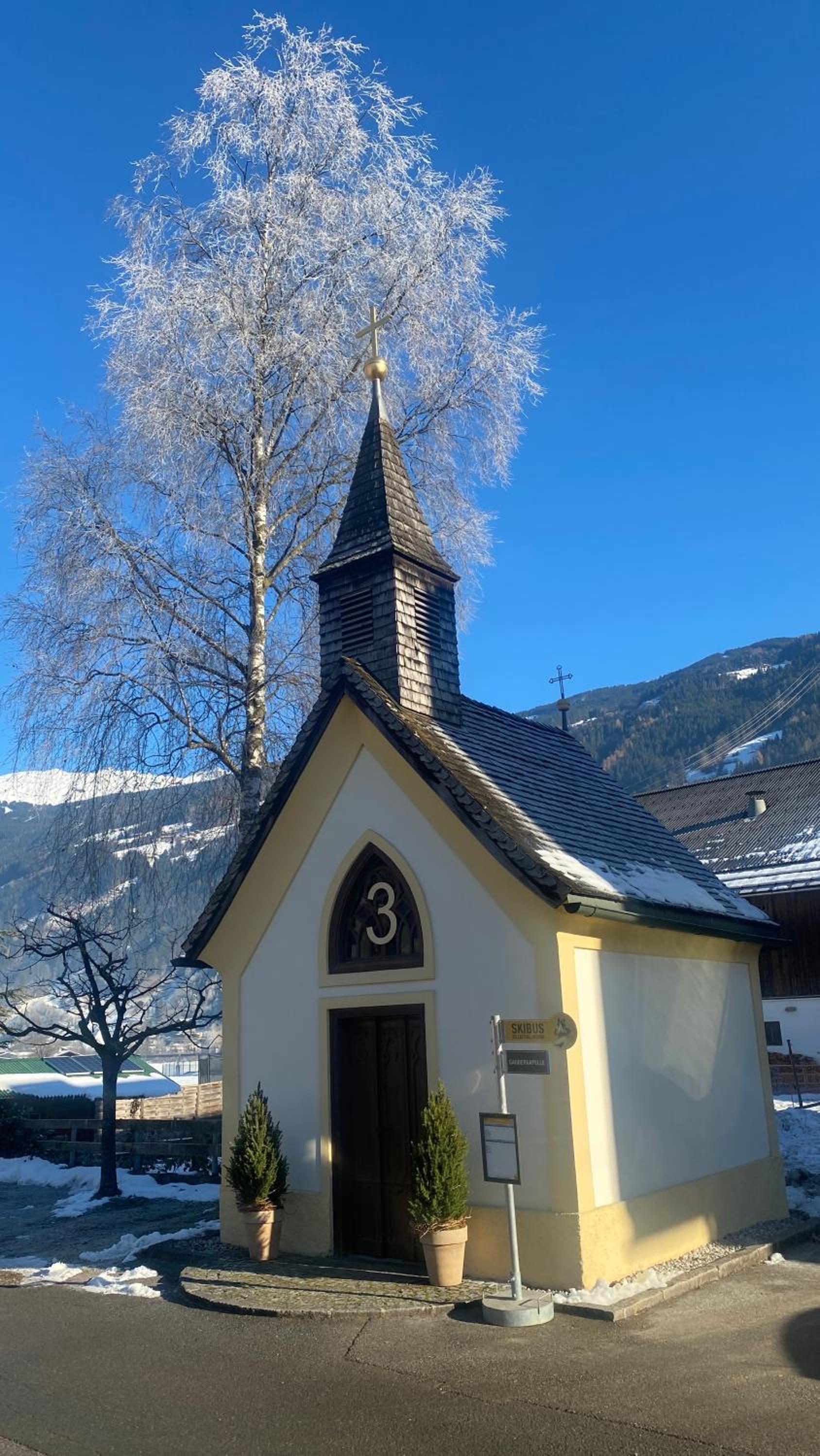Photo 41