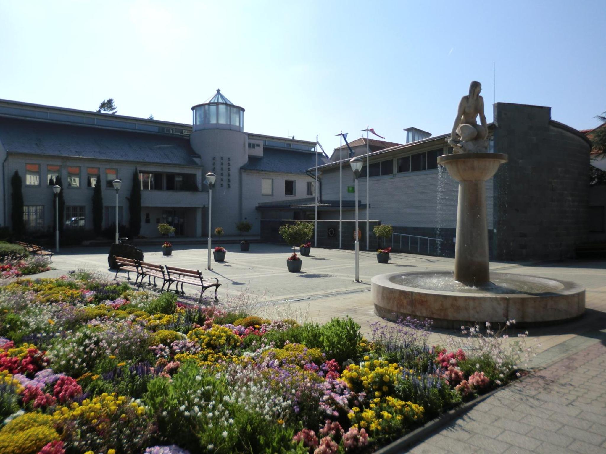 Photo 15