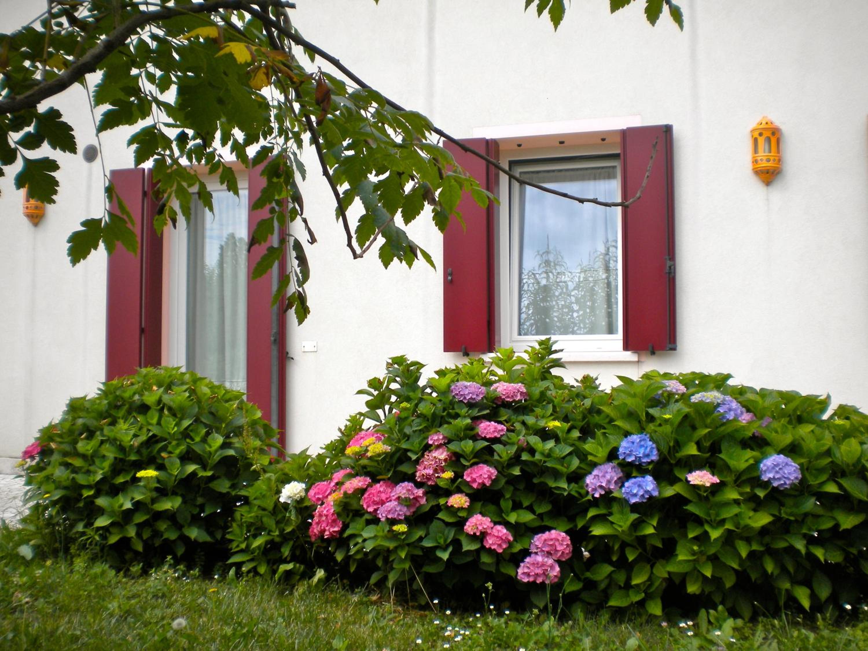 Agriturismo Il Magicorto