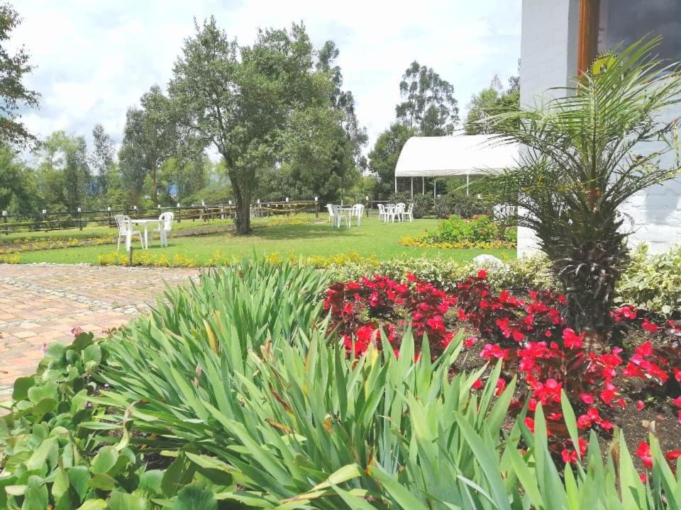 La Isabela Estancia Ecuestre