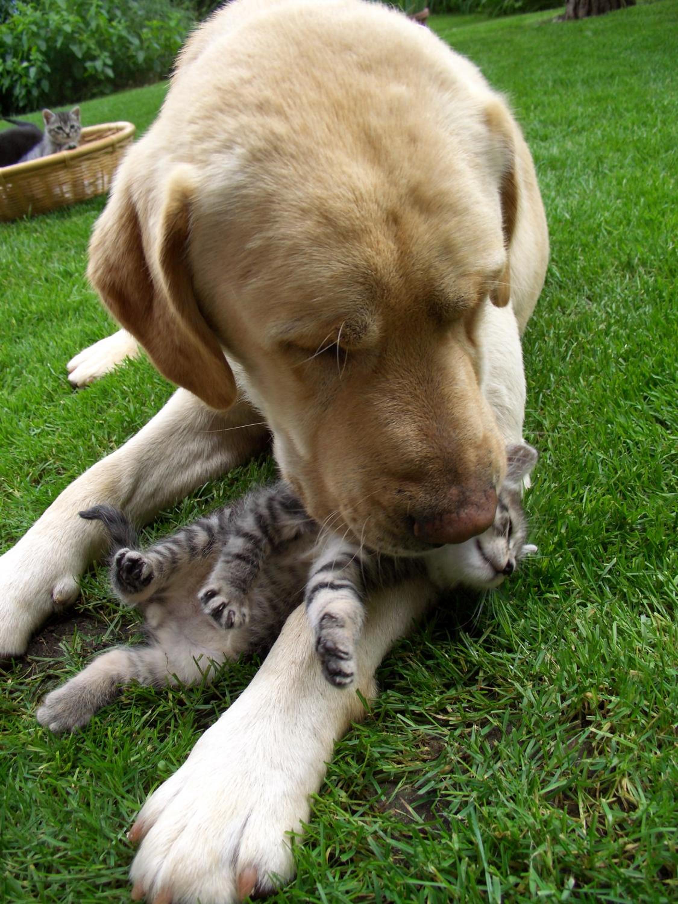 Photo 41