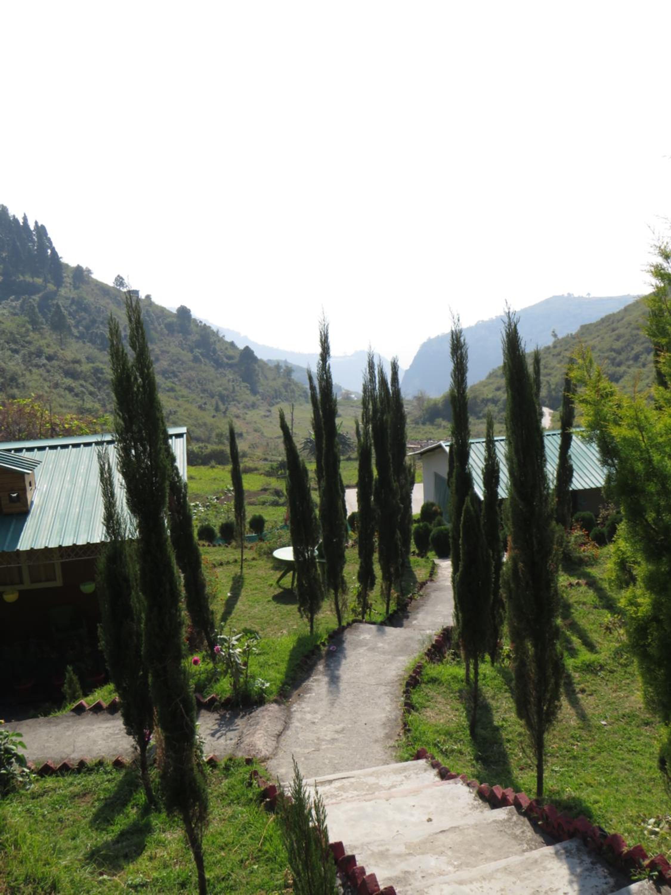 Photo 45