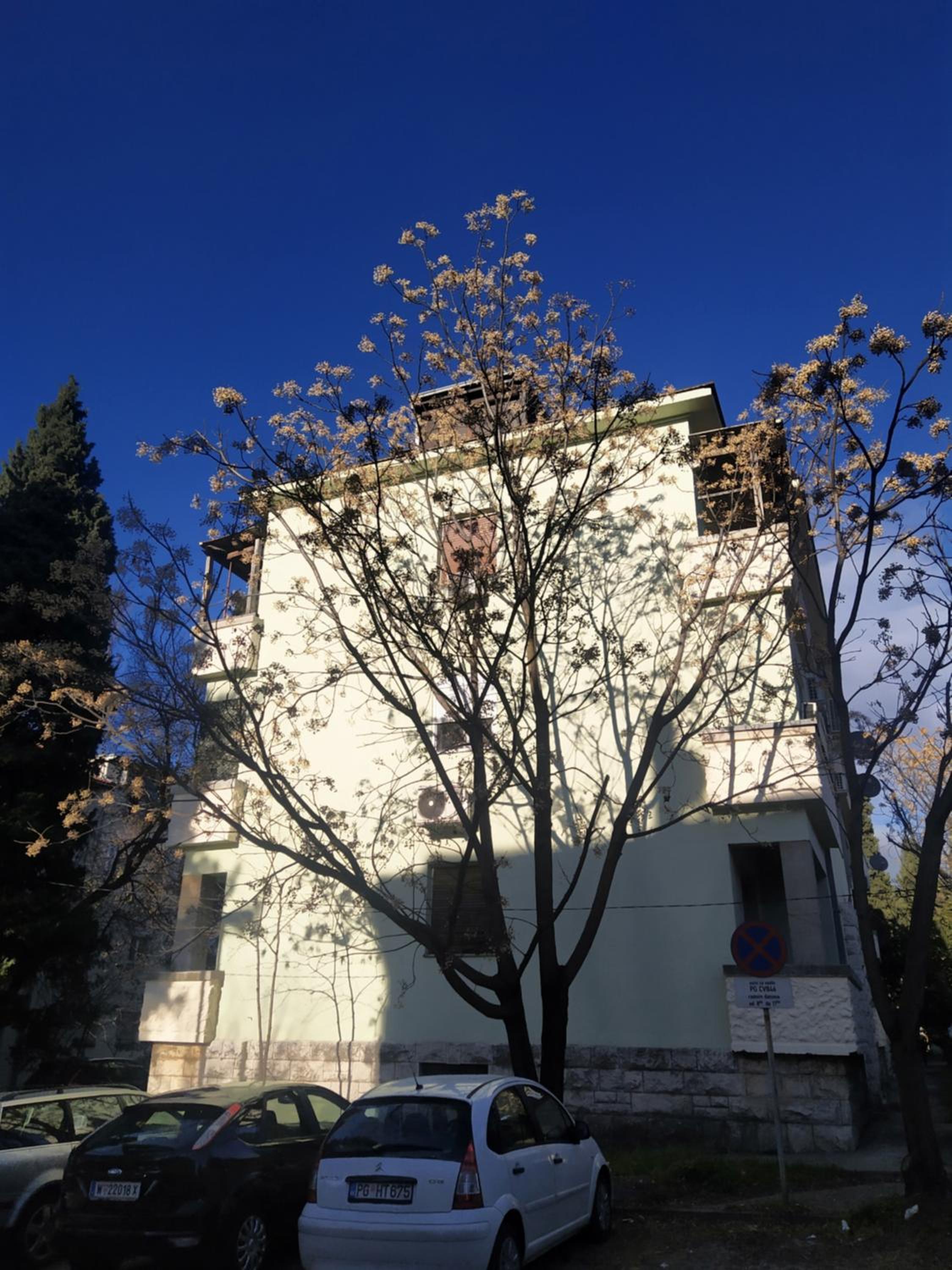 Podgorica Center view 4