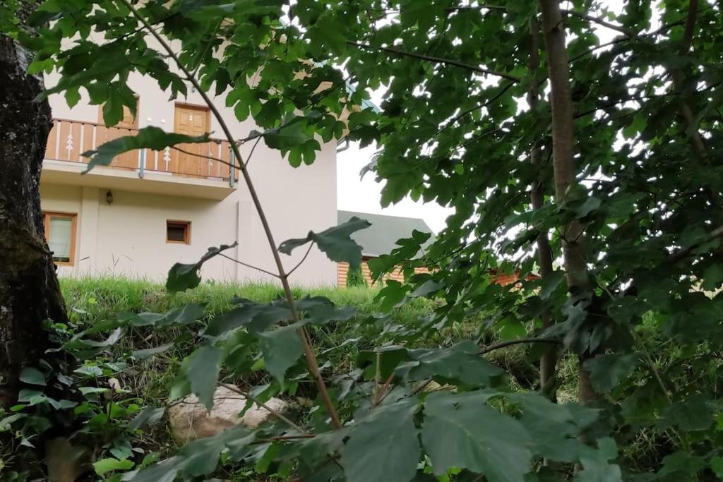 Apartmani Vuk view 4