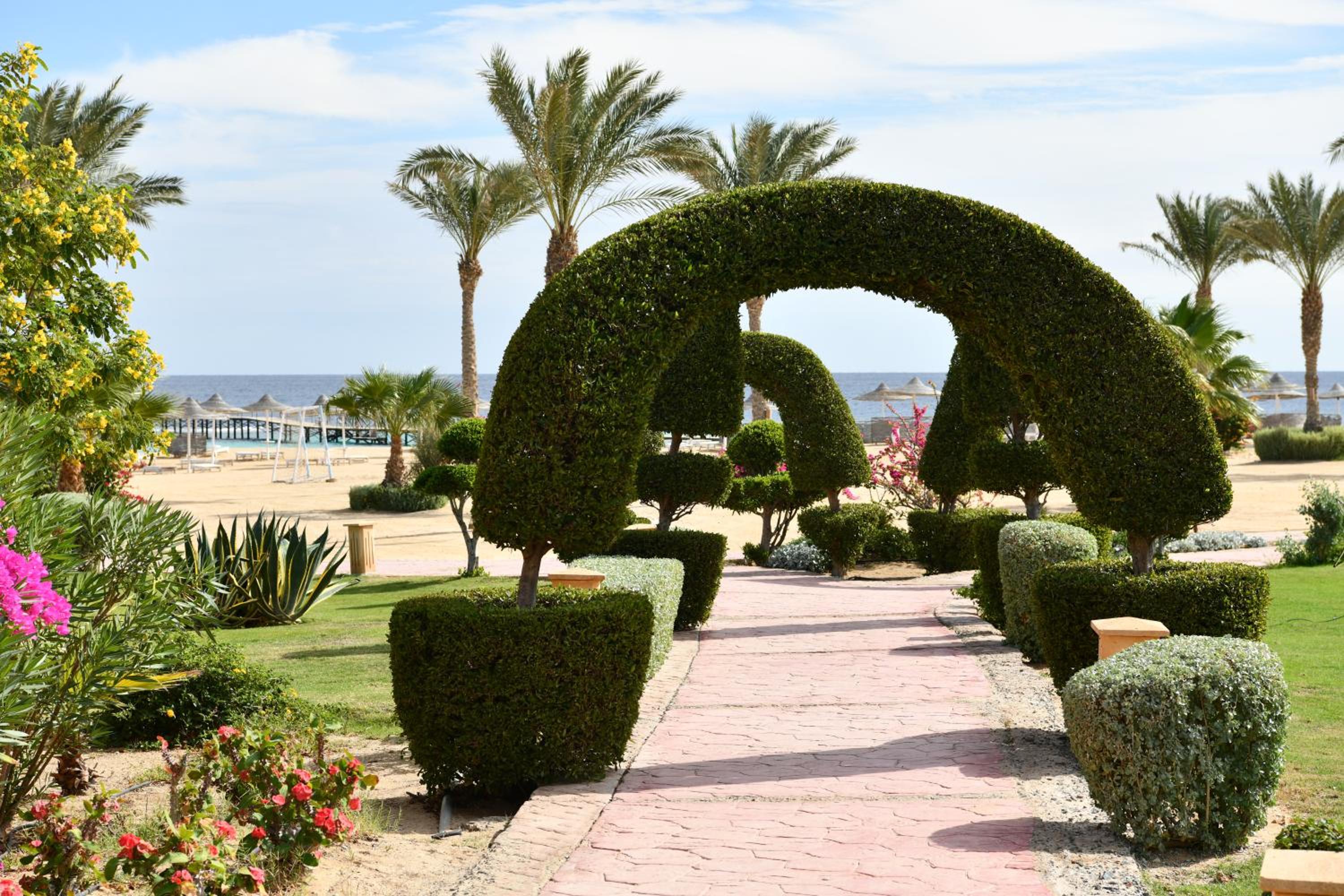 Wadi Lahmy Azur Resort - Soft All-Inclusive — photo 67