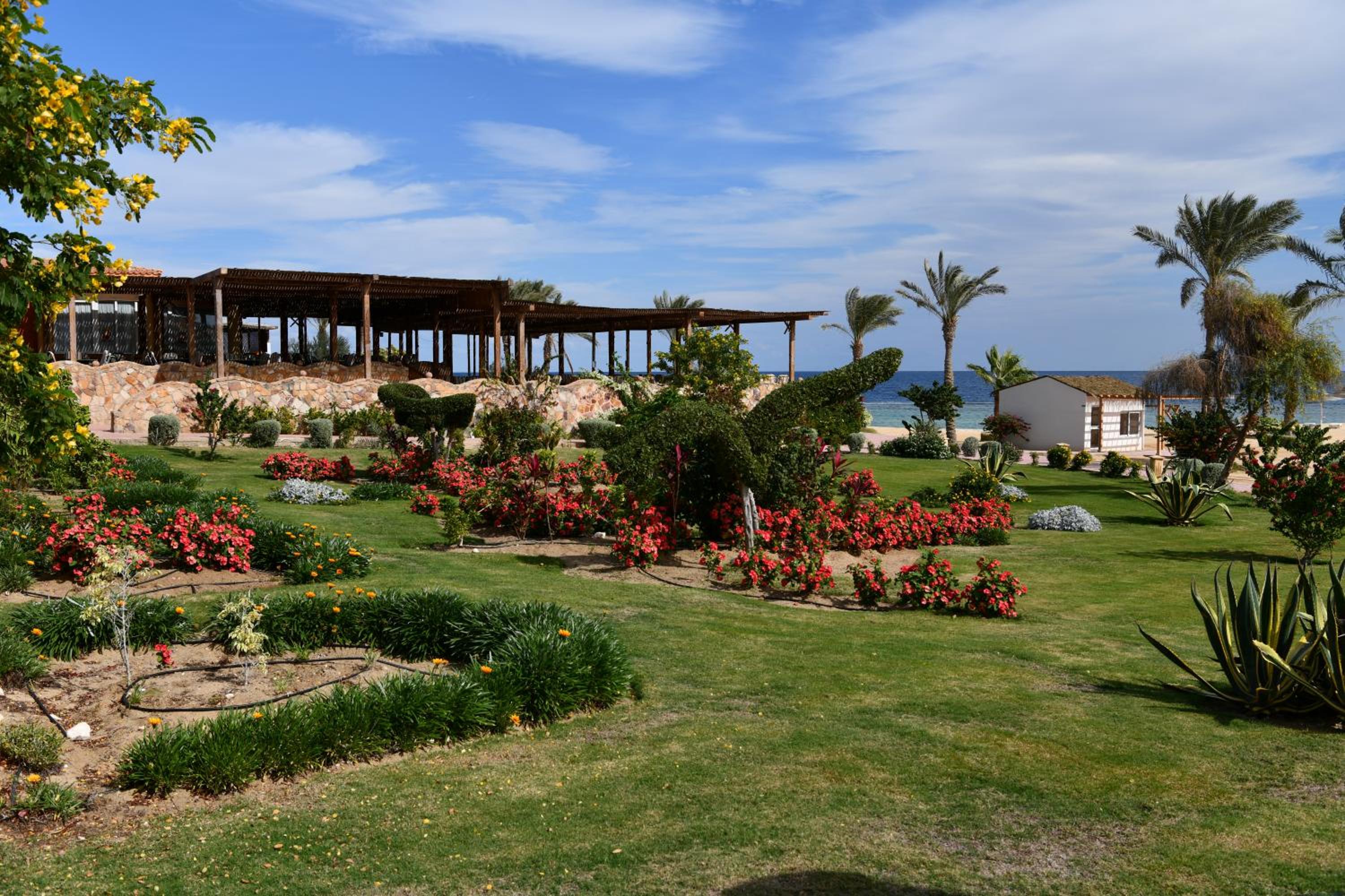 Wadi Lahmy Azur Resort - Soft All-Inclusive — photo 40