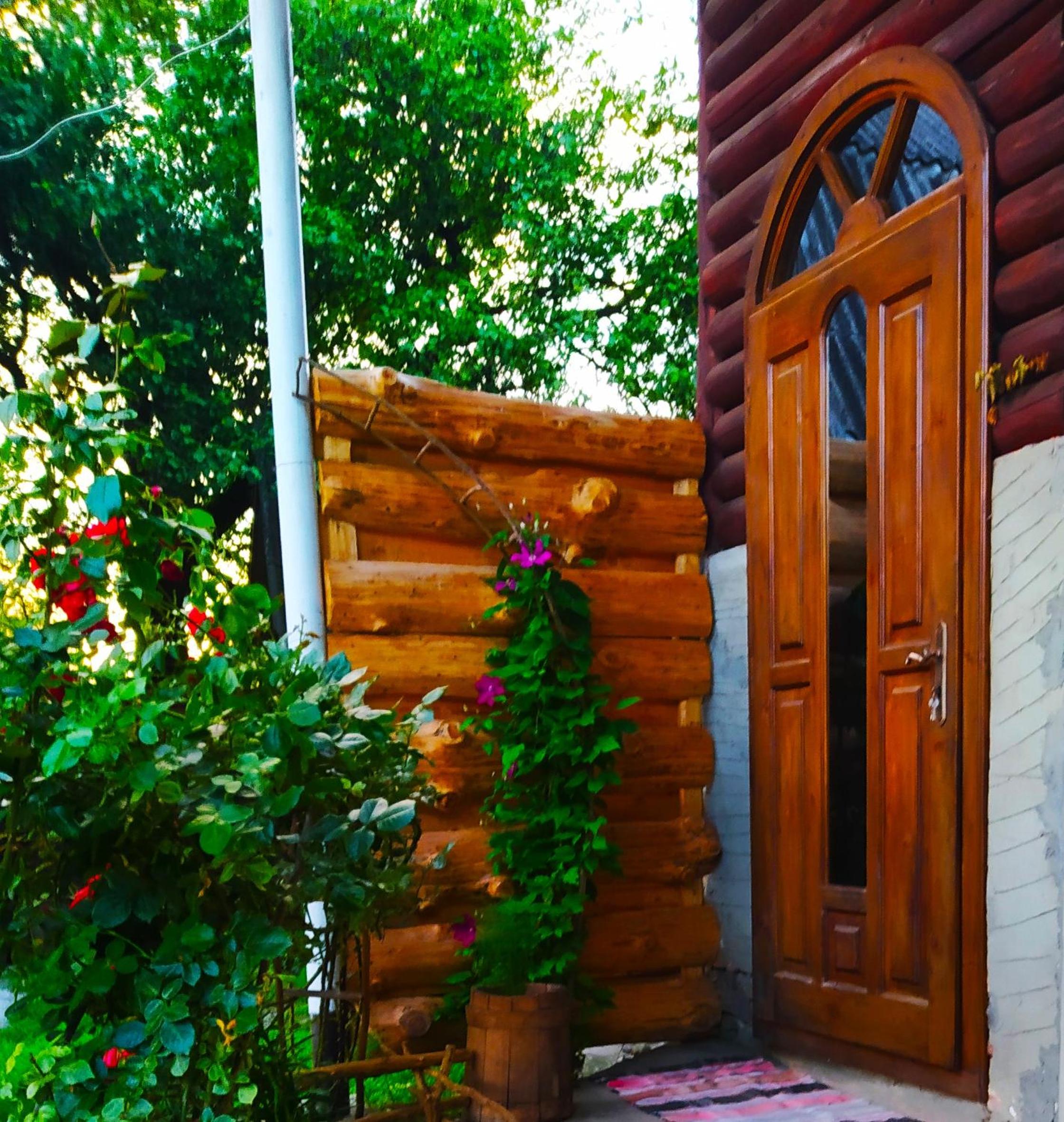 Photo 19
