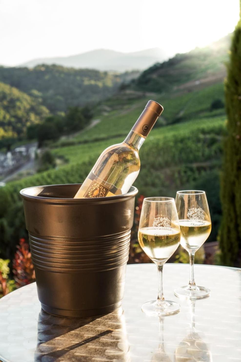 Wine Passion Panoramic view 3