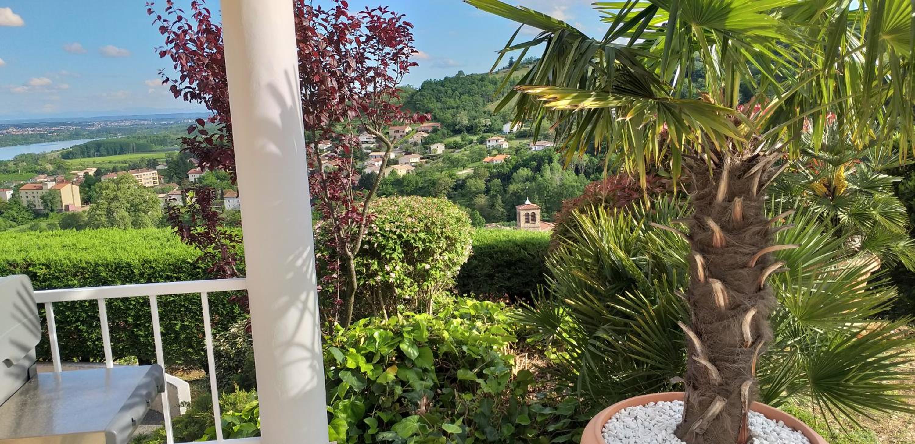 Wine Passion Panoramic view 4