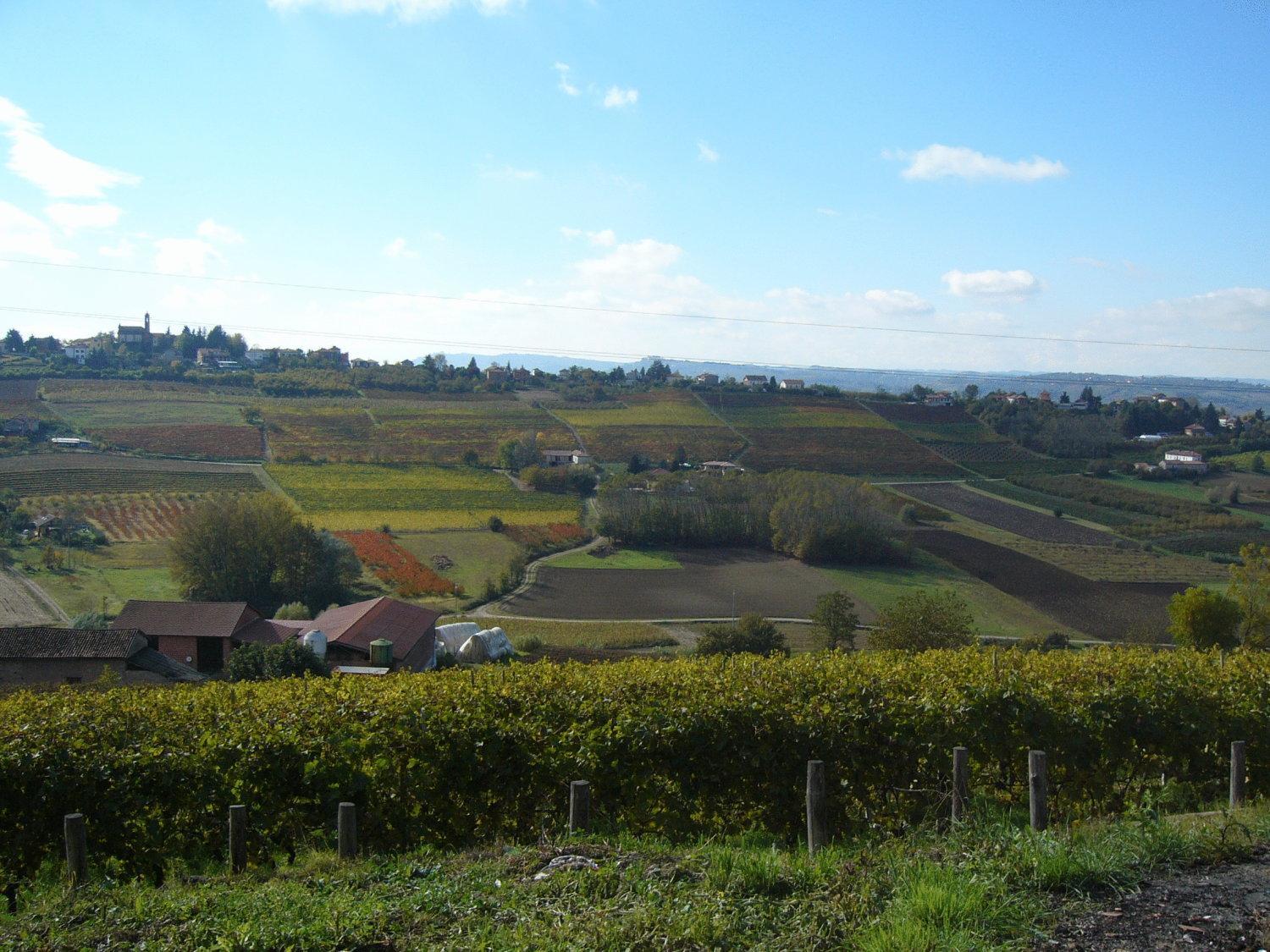 Agriturismo Podere La Piazza