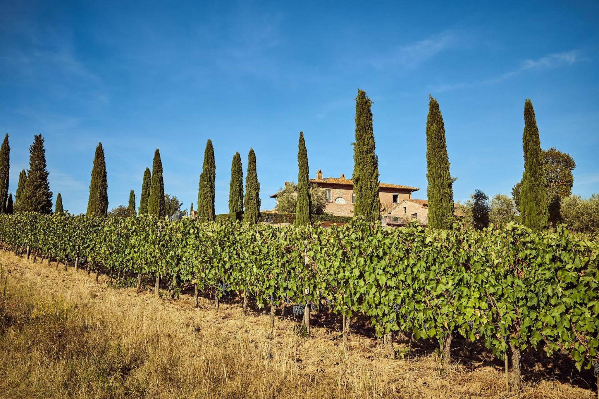 Tenuta Golo - Luxury Vineyard Suites - Adults Only - Montepulciano view 2
