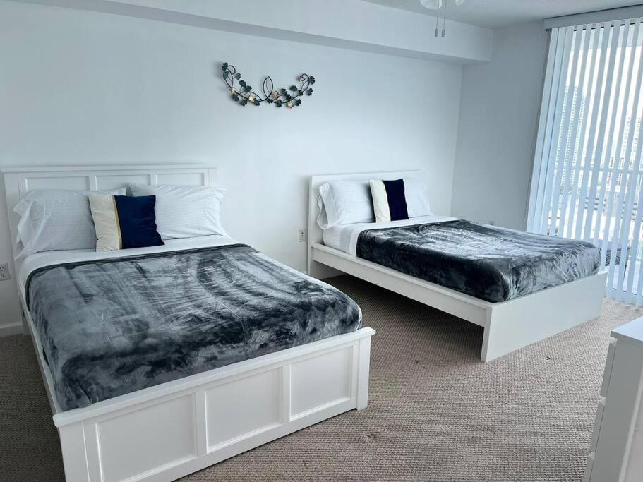 1Bd Apt with Free Parking and Amazing View
